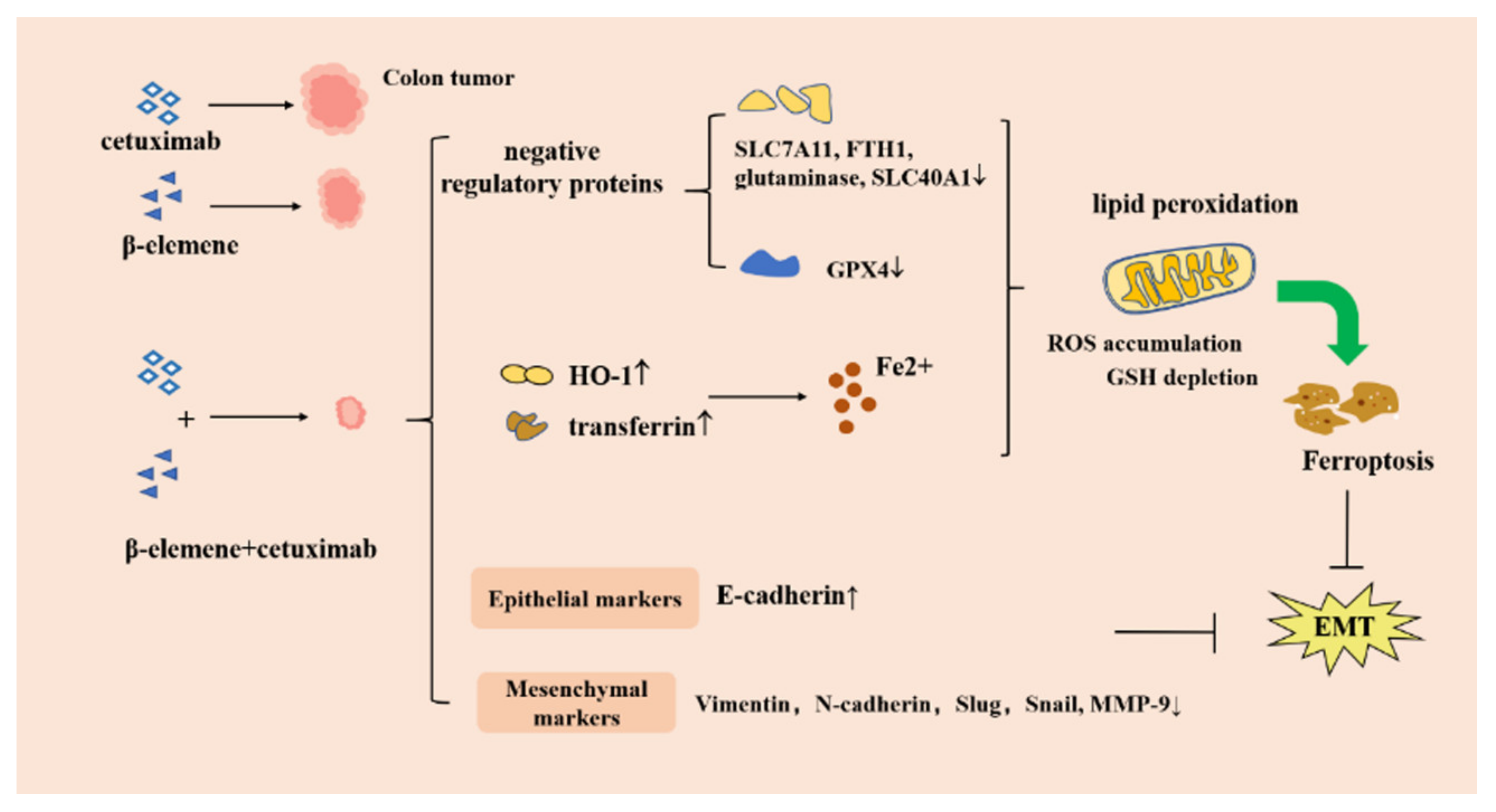 Molecules 26 05792 g008