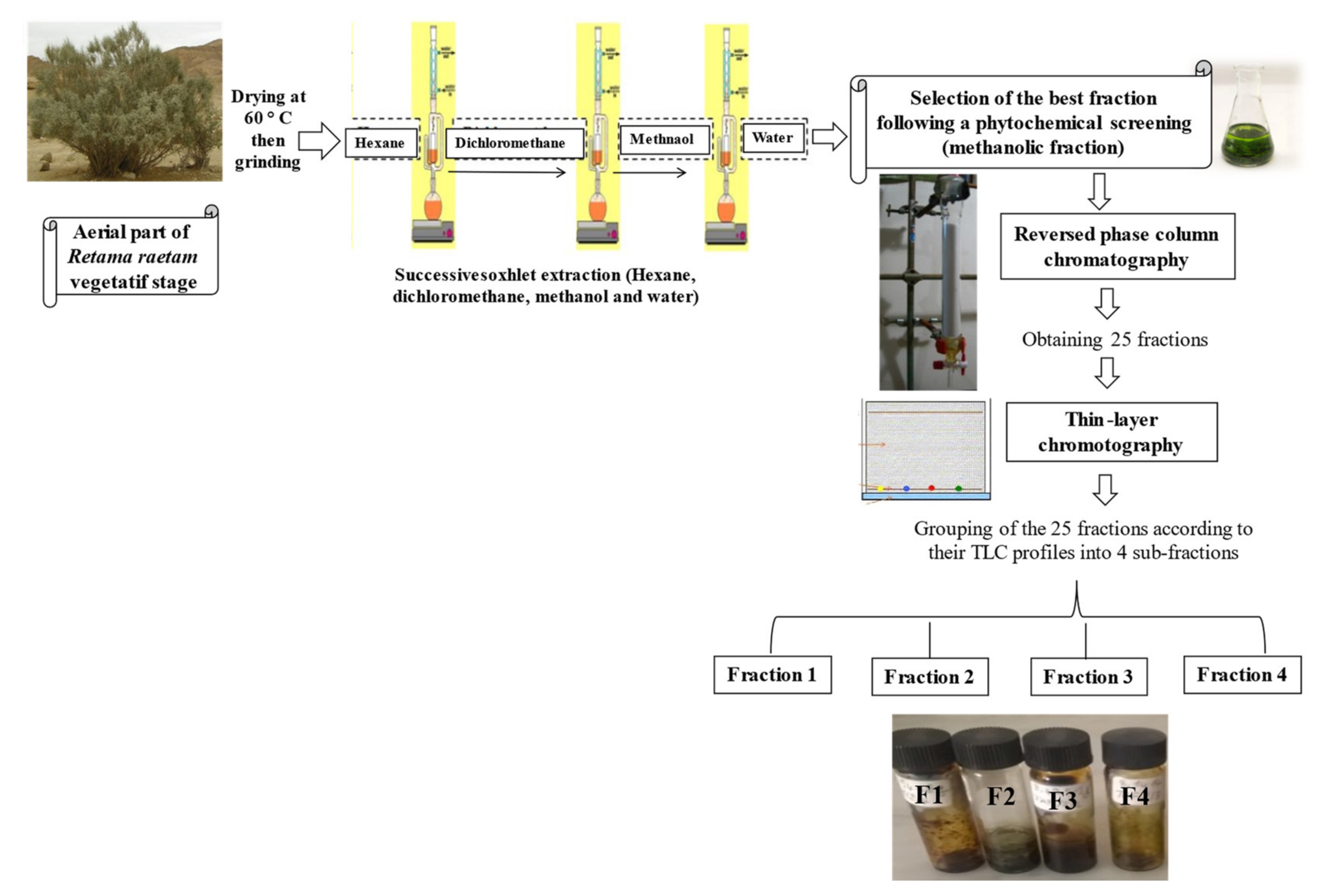 Molecules 26 05800 g004 550