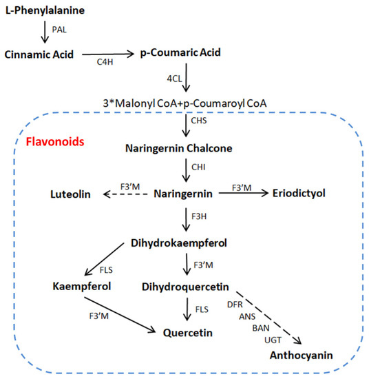 is glutathione banned How to Take Glutathione Effectively: Best Forms, Timing & Tips main image 0