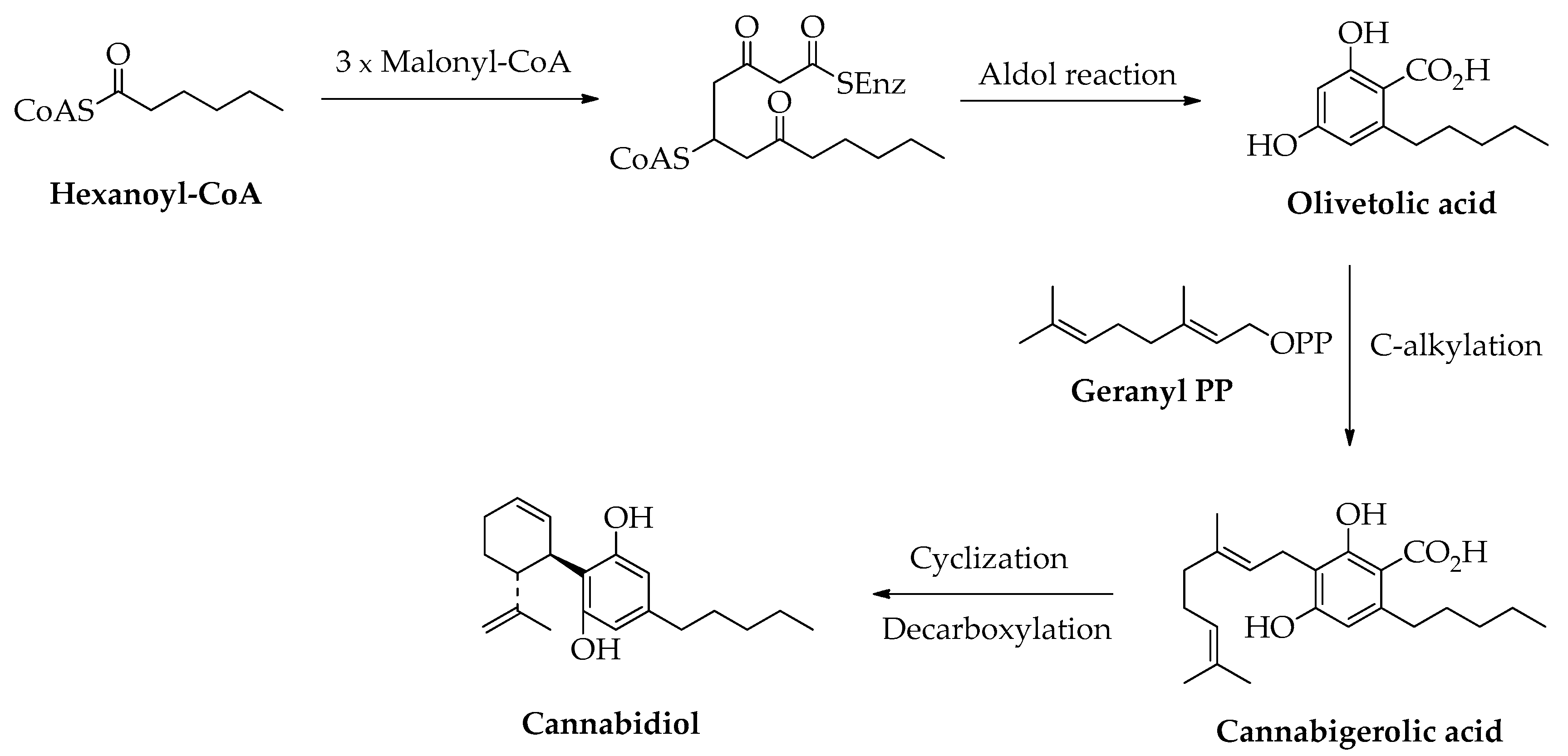 Molecules 26 05803 sch004 550