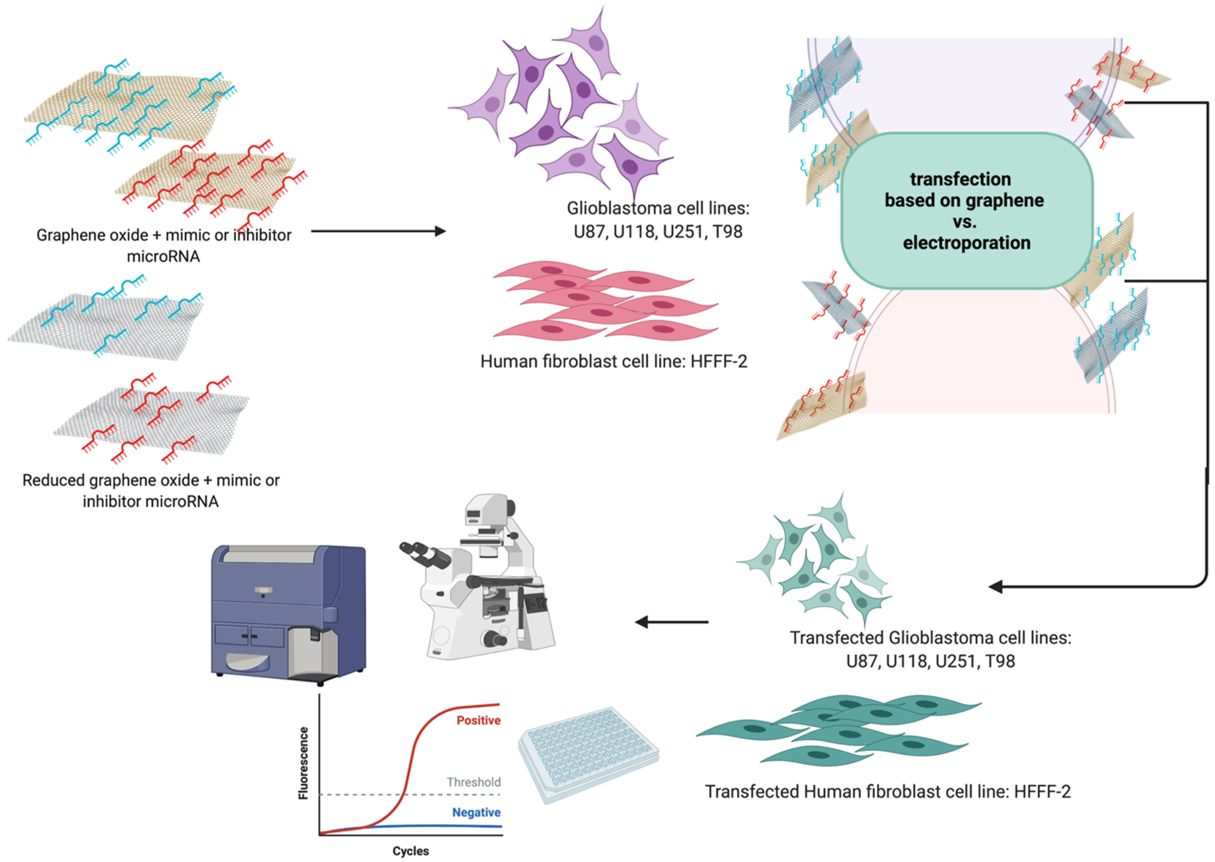 Molecules 26 05804 g001 Molecules 26 05804 g001