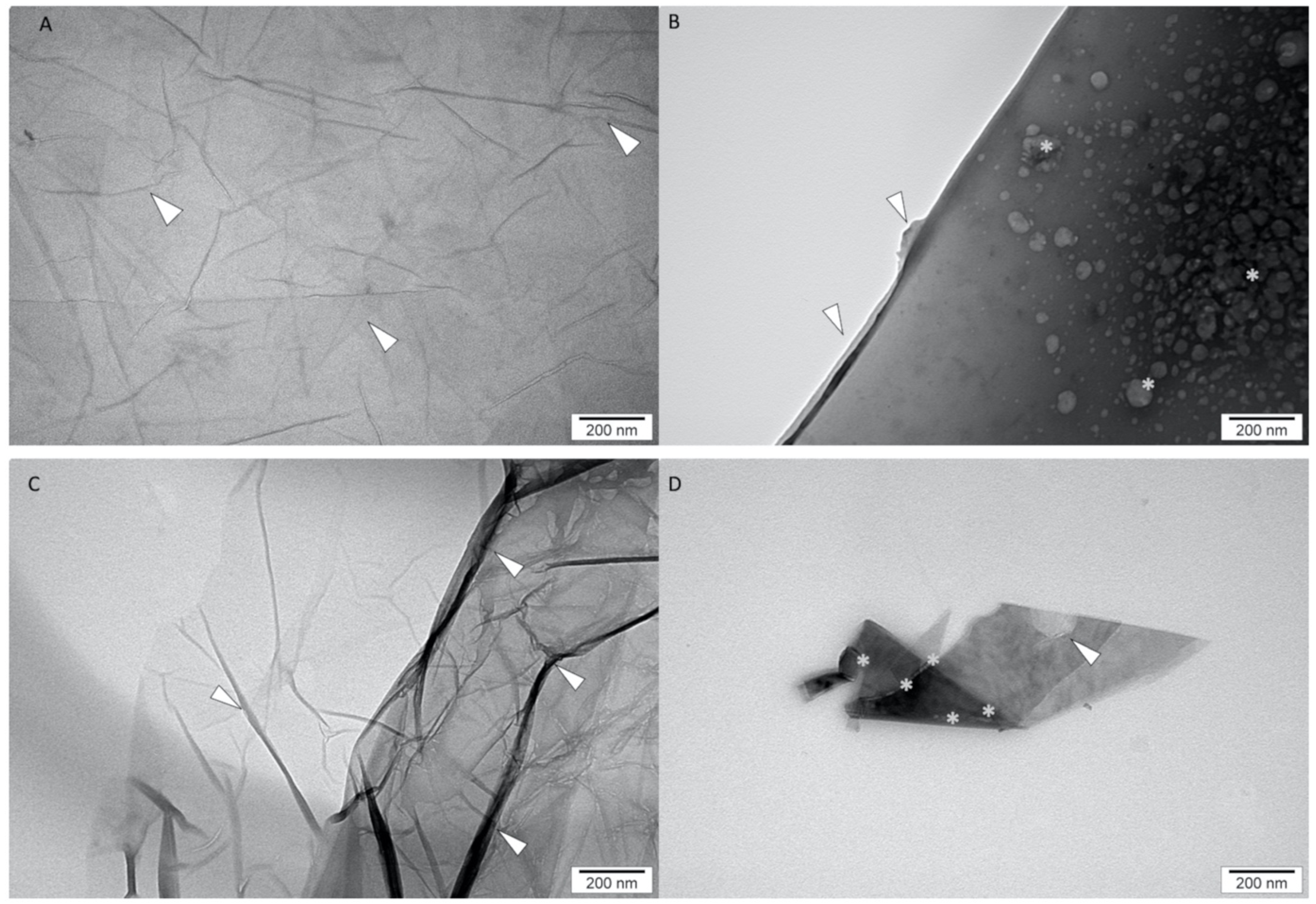 Molecules 26 05804 g002 Molecules 26 05804 g002