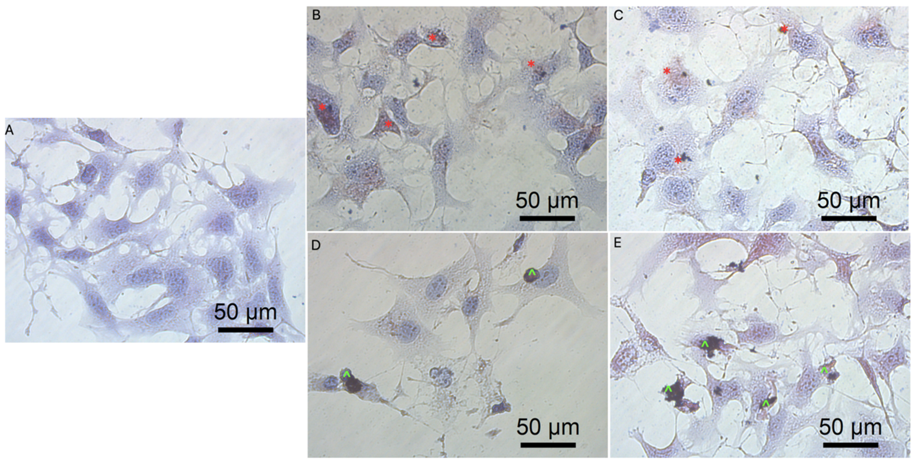 Molecules 26 05804 g008 Molecules 26 05804 g008