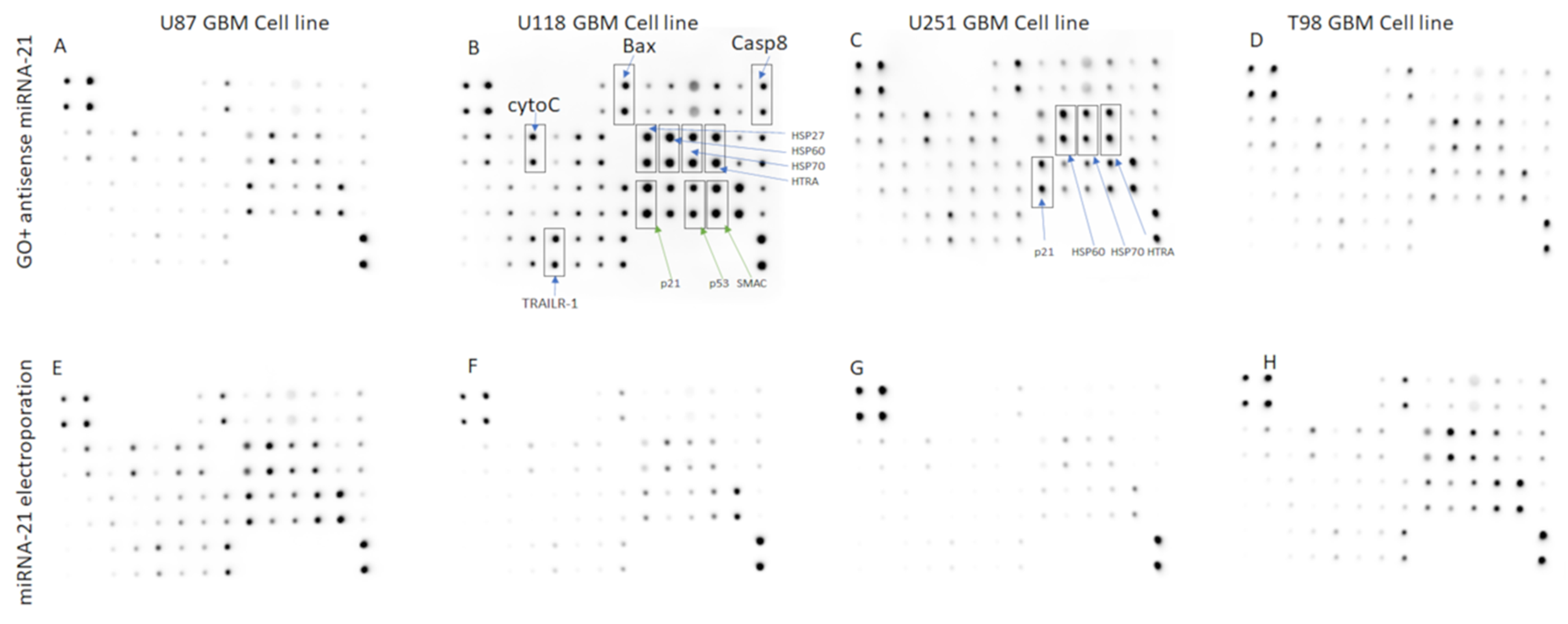Molecules 26 05804 g018 Molecules 26 05804 g018