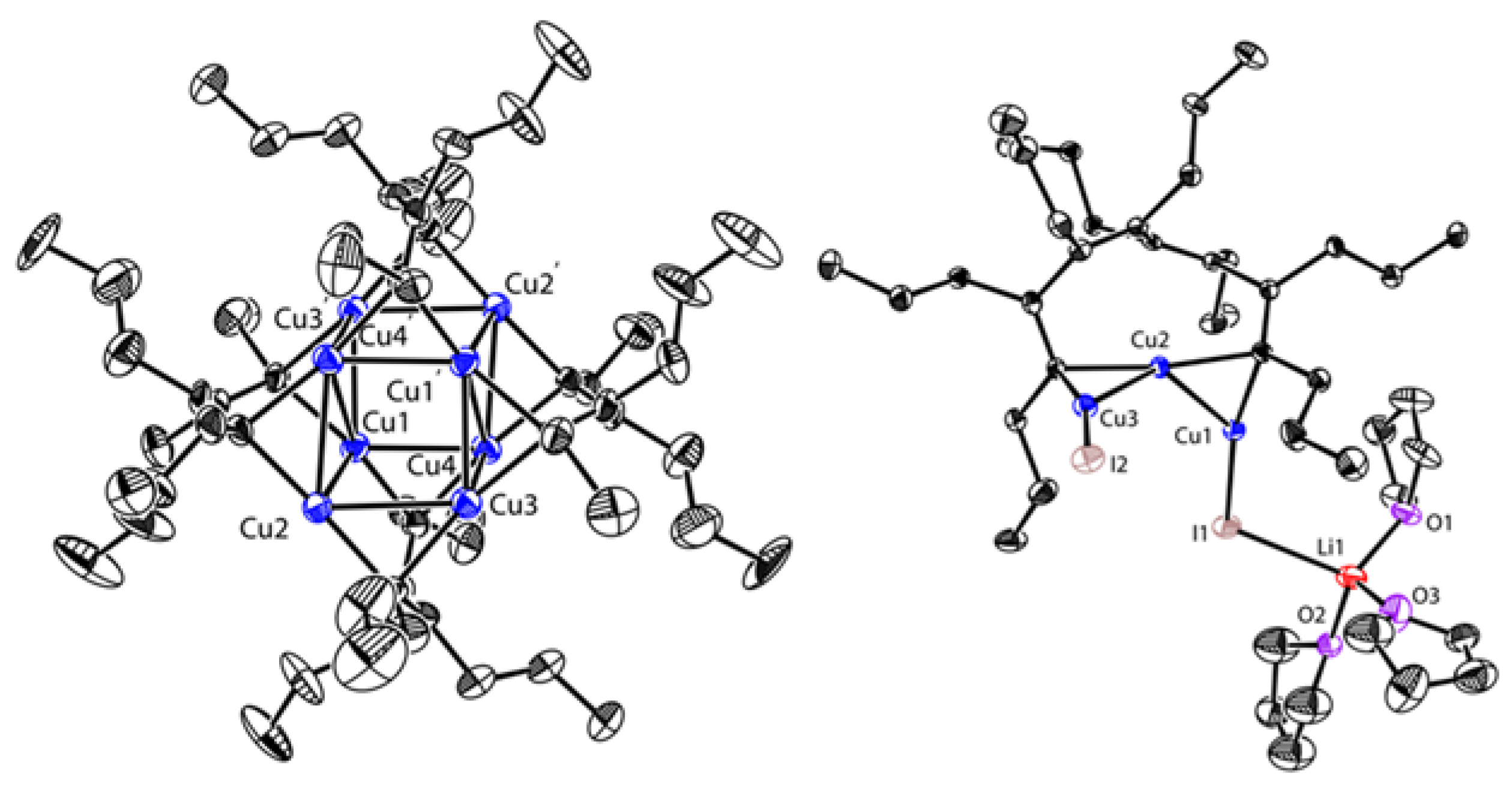 Molecules 26 05806 g006
