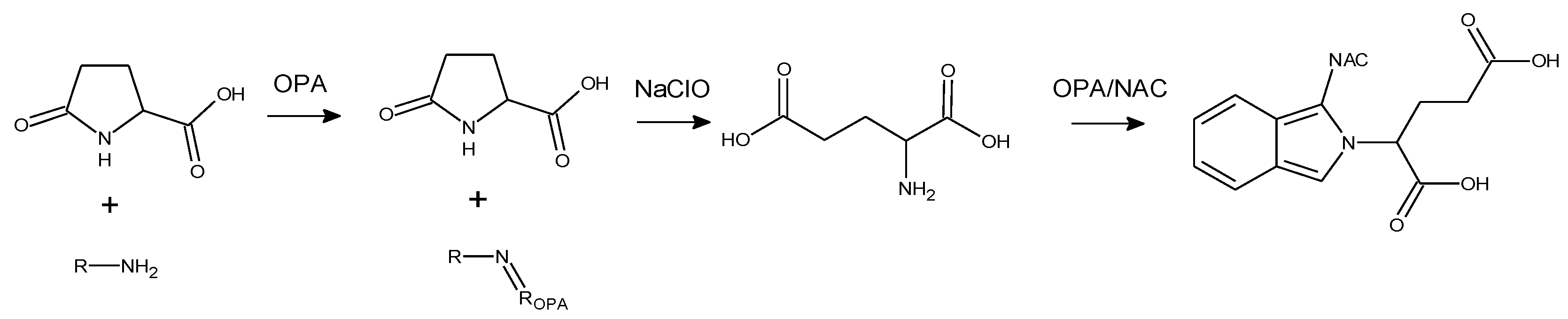 Molecules 26 05809 sch002