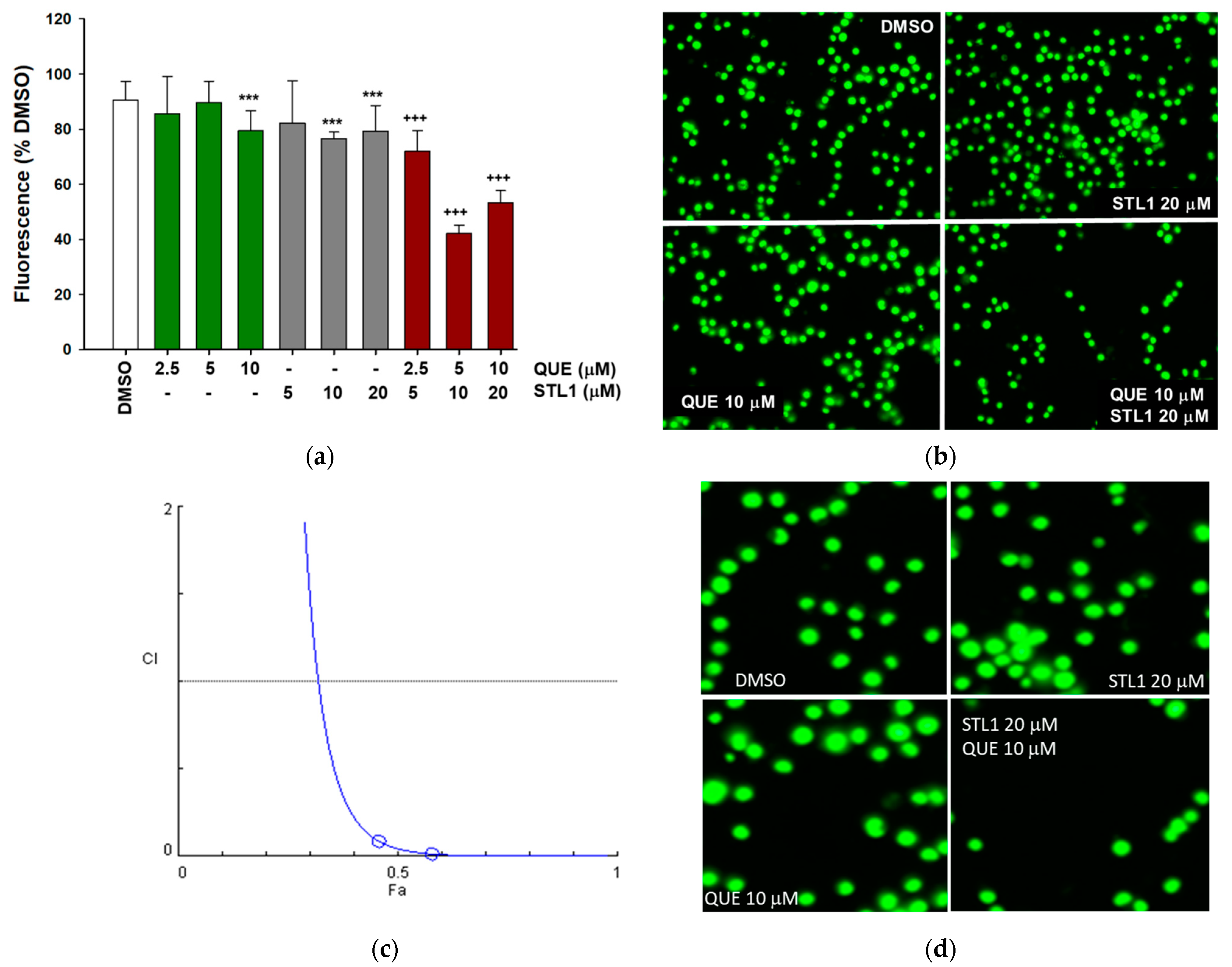 Molecules 26 05810 g002
