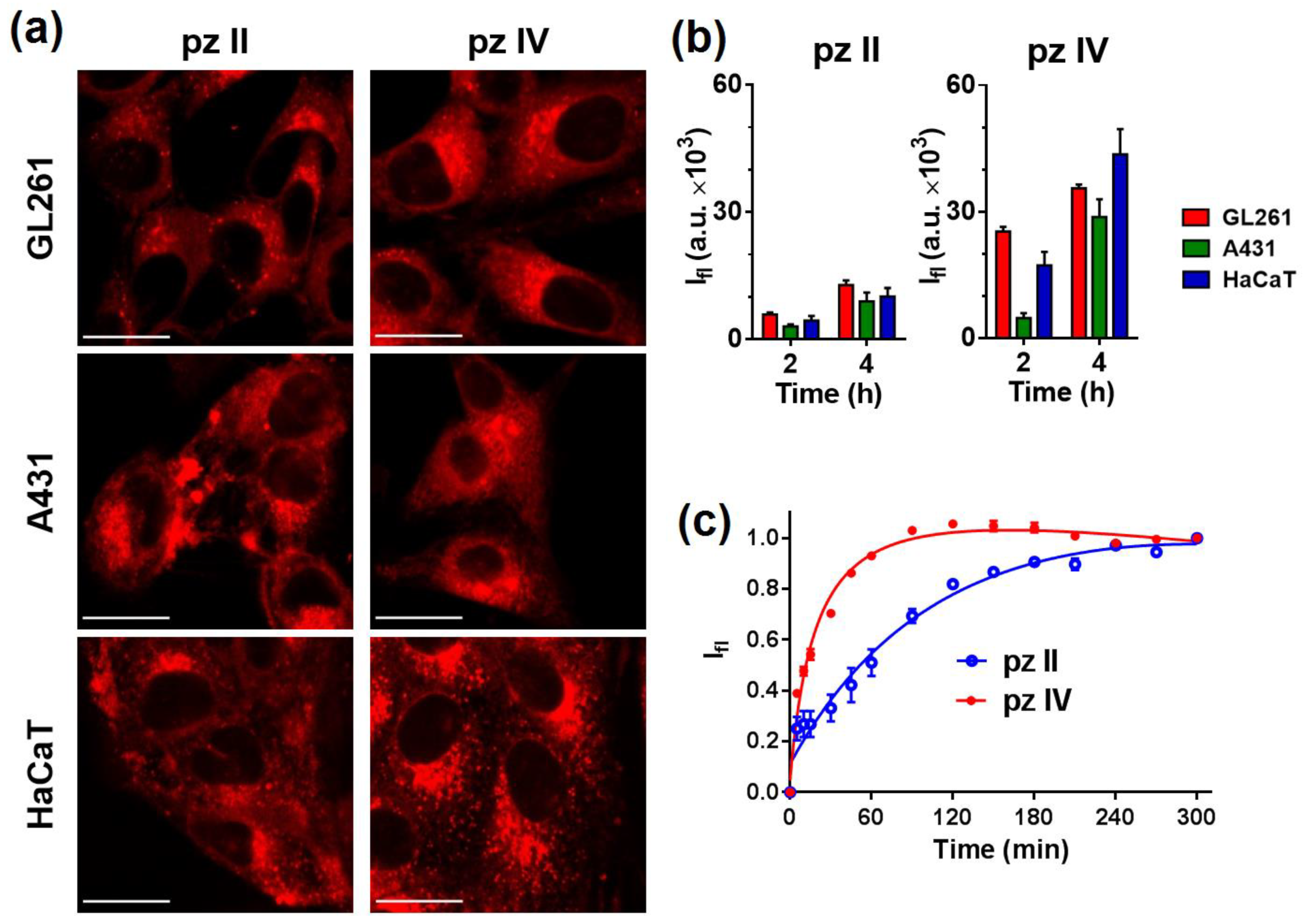 Molecules 26 05816 g007