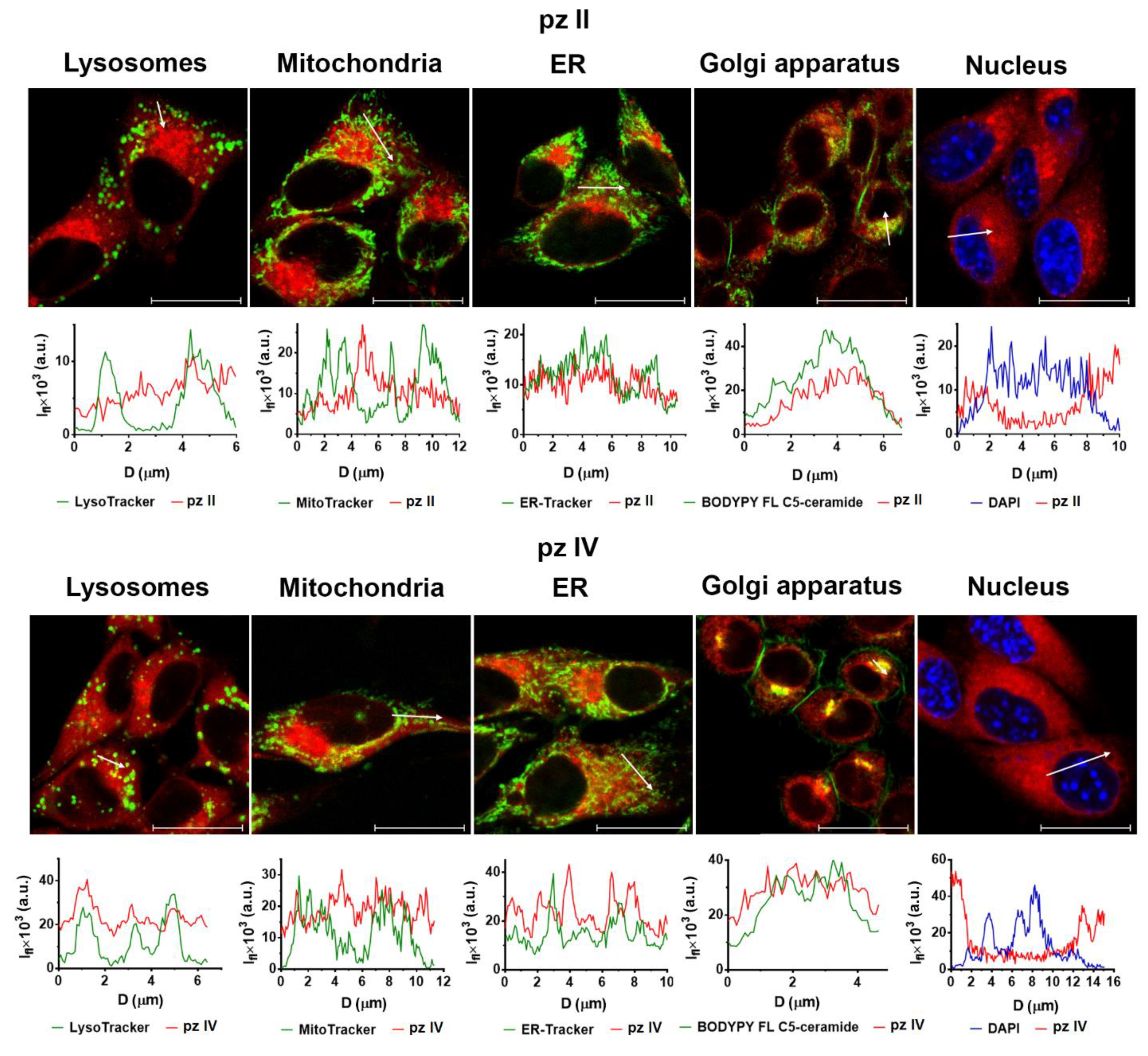 Molecules 26 05816 g008