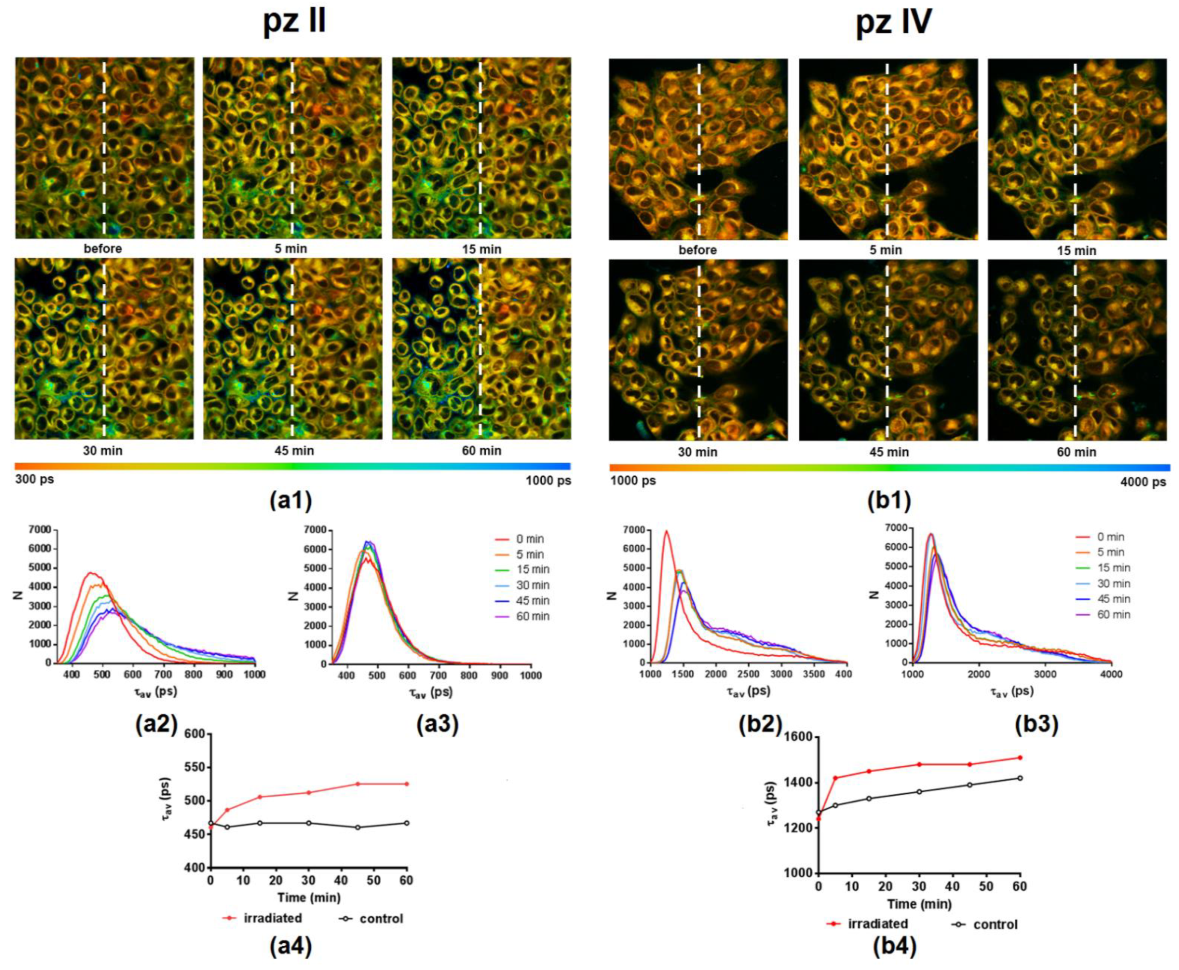 Molecules 26 05816 g010