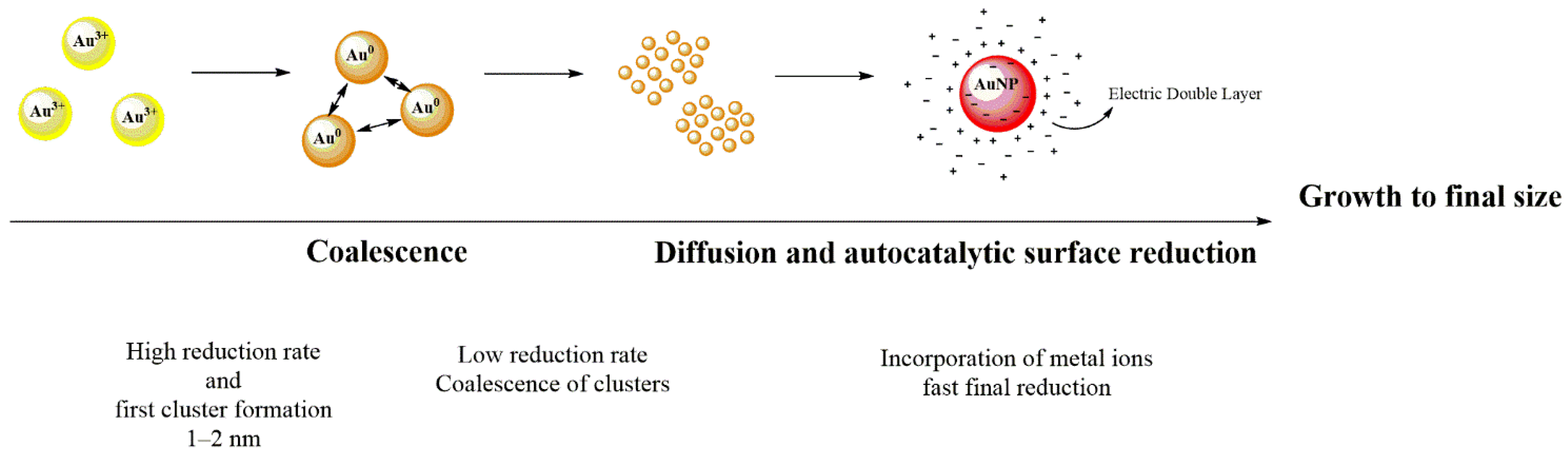 Molecules 26 05823 g002