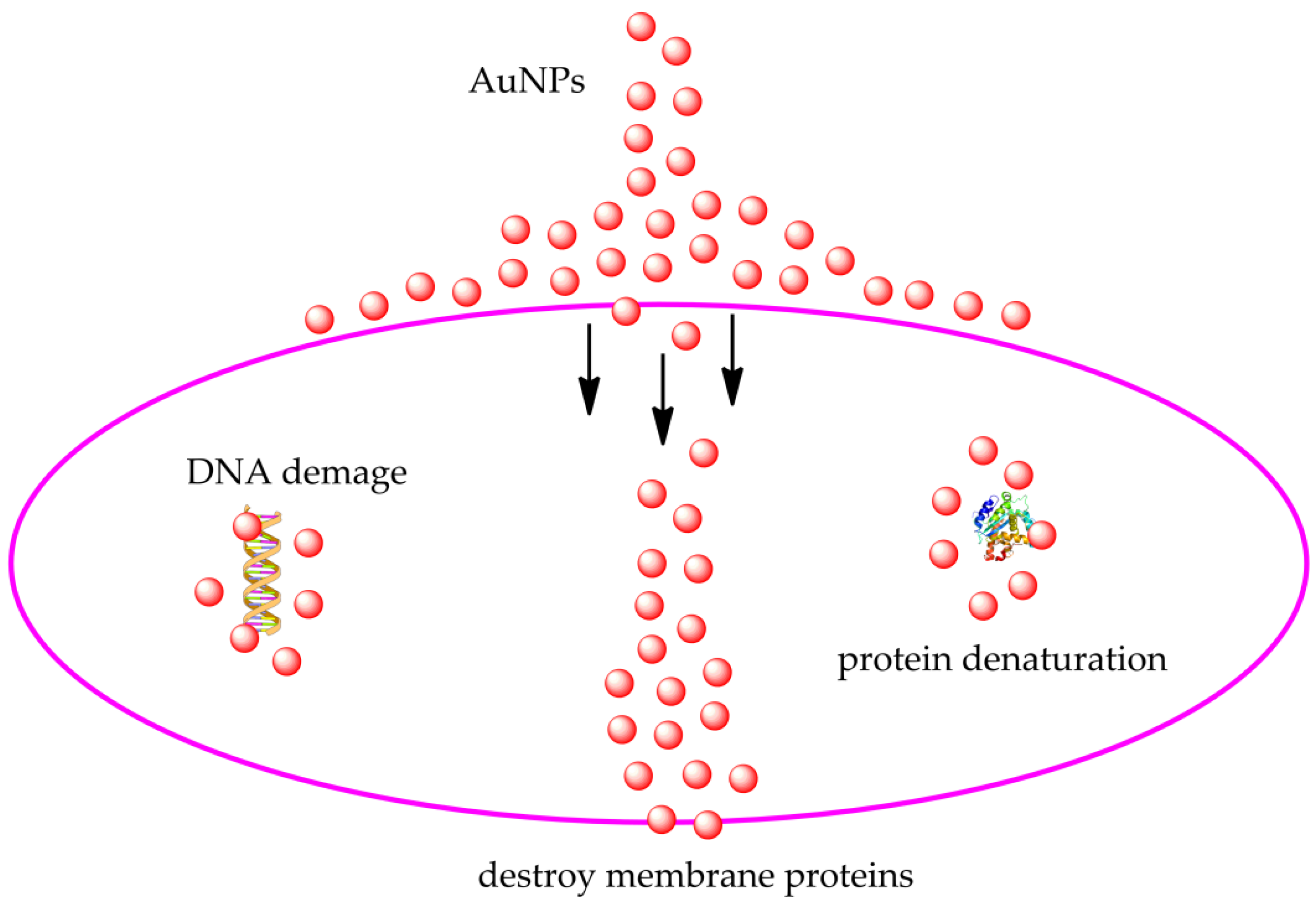 Molecules 26 05823 g006
