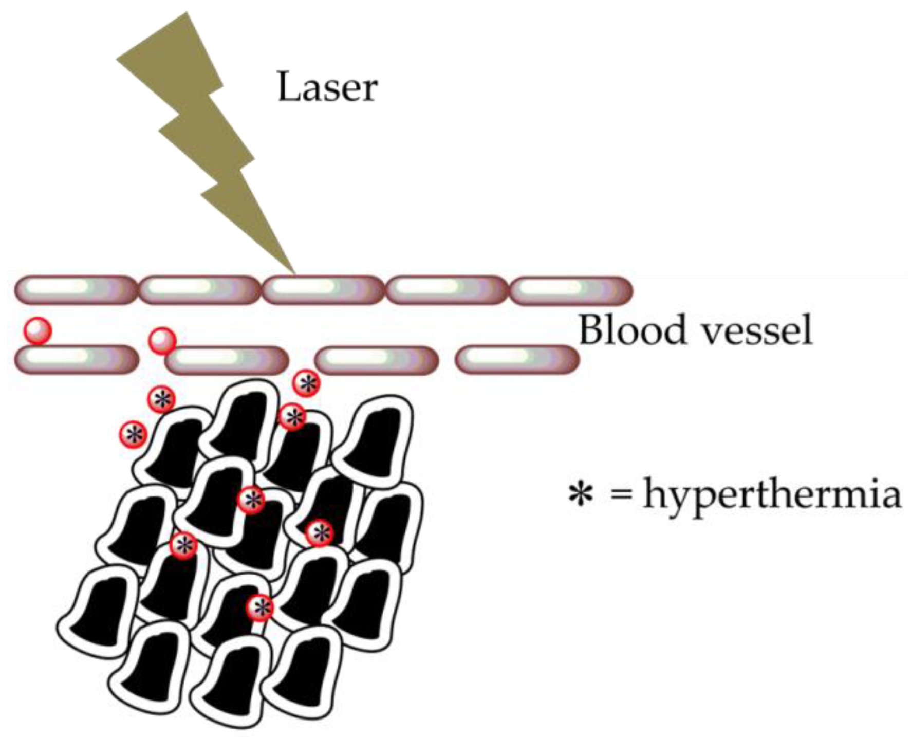 Molecules 26 05823 g008