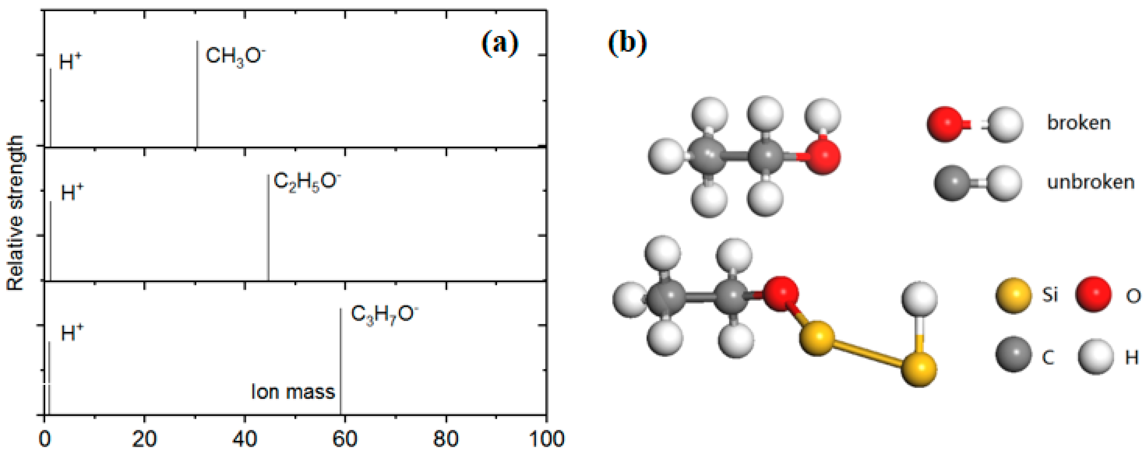 Molecules 26 05824 g002