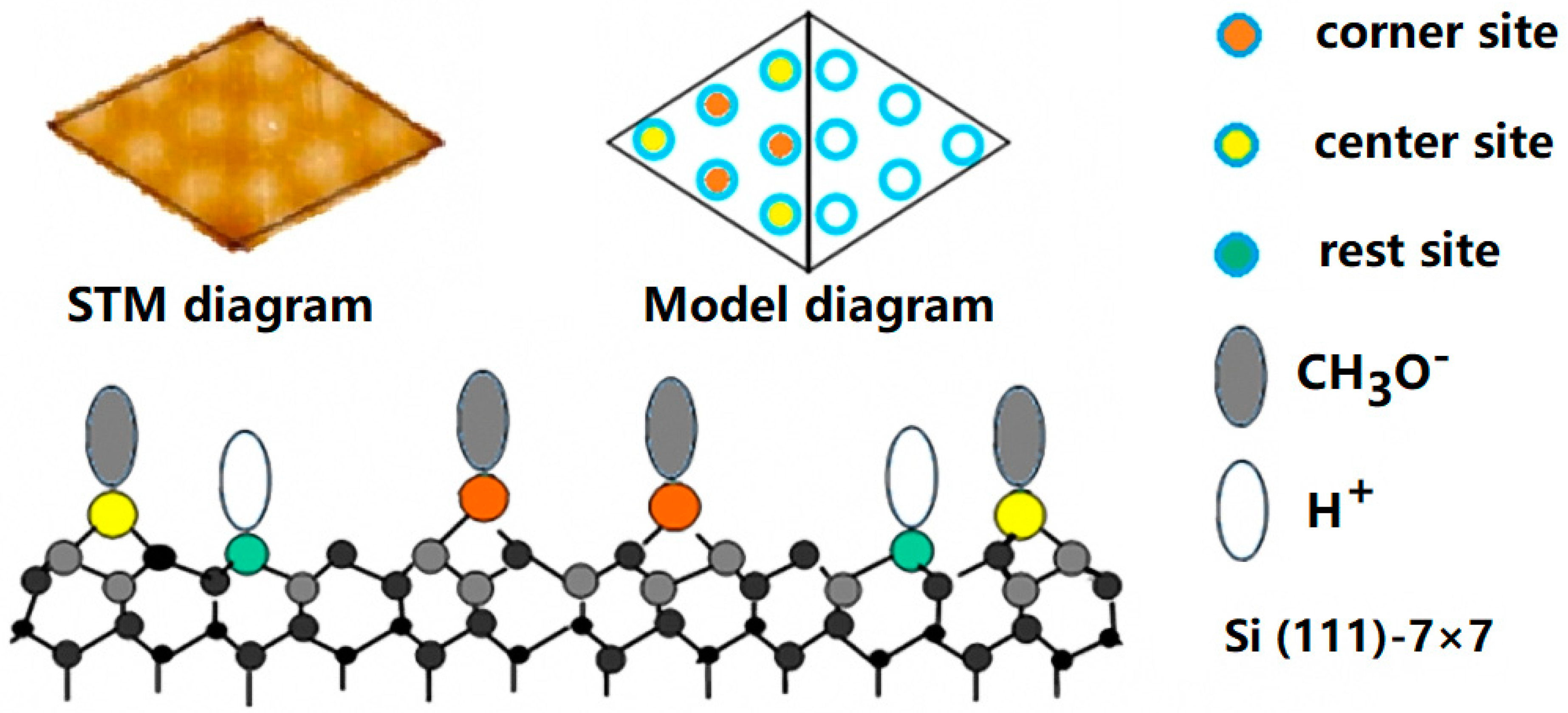 Molecules 26 05824 g003