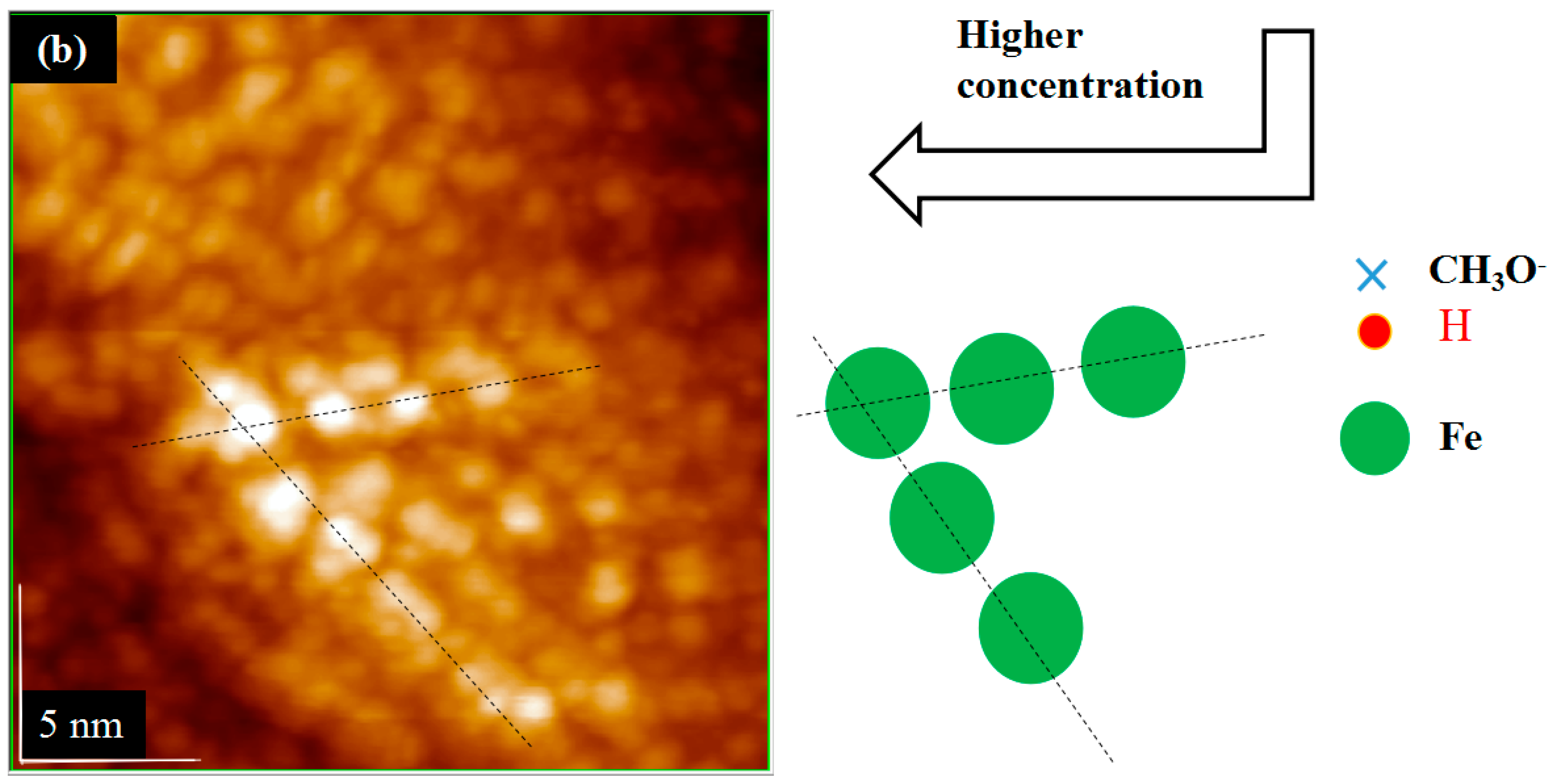 Molecules 26 05824 g006b