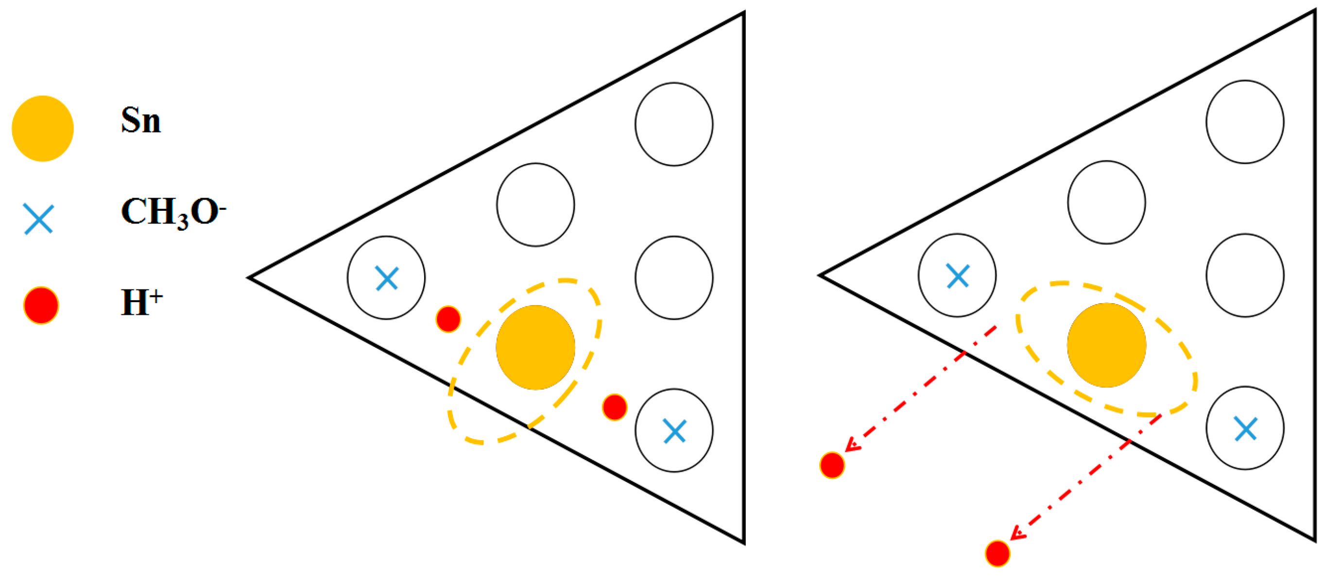 Molecules 26 05824 g008