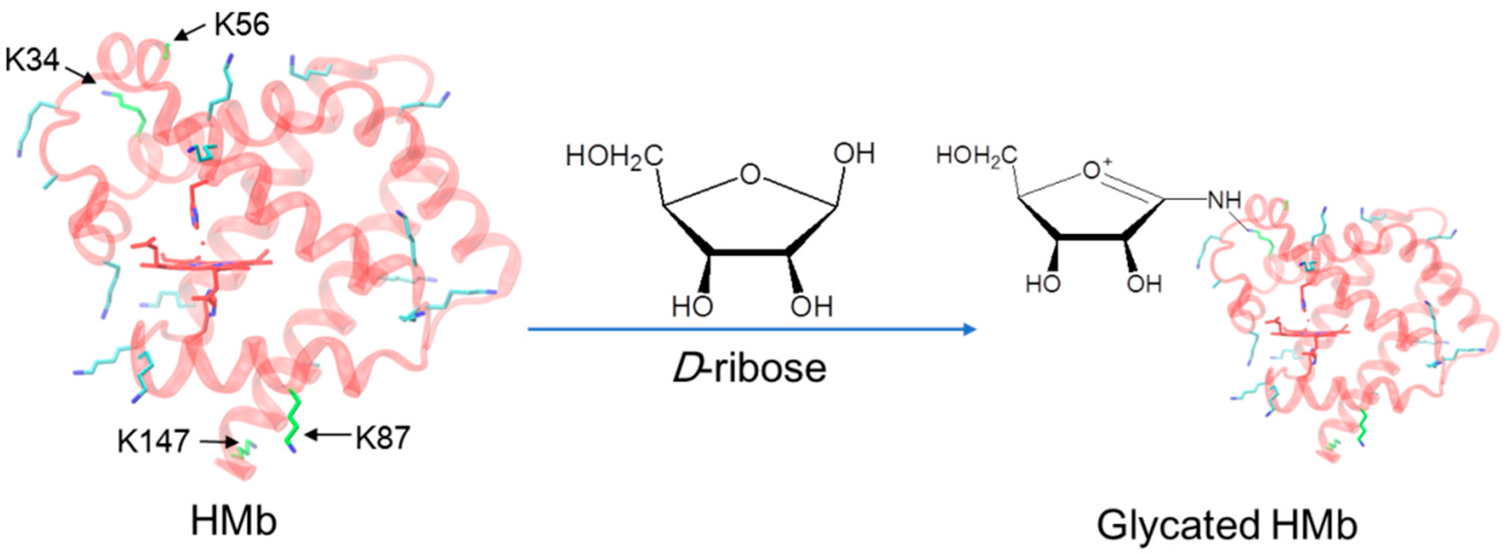 Molecules 26 05829 g001