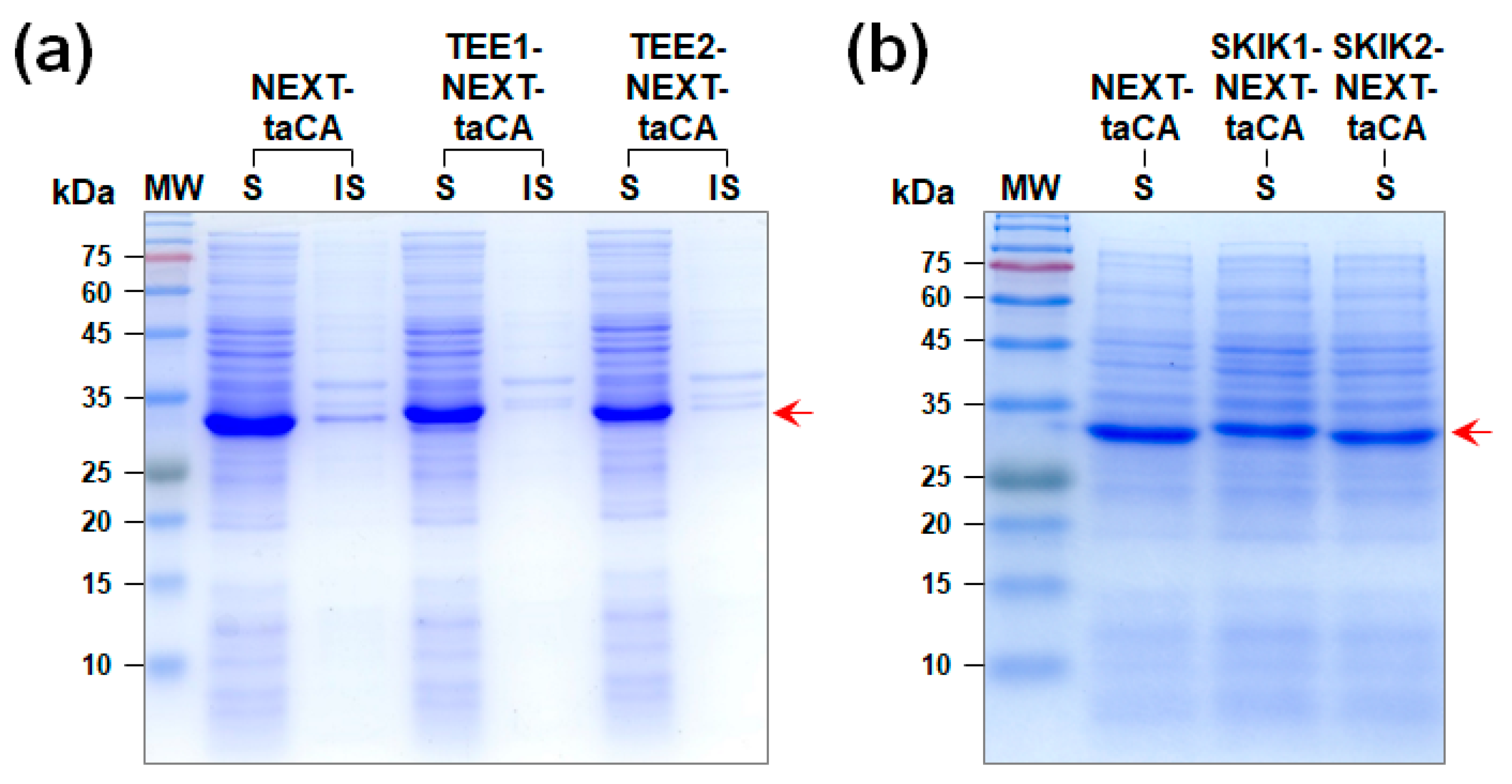Molecules 26 05830 g001