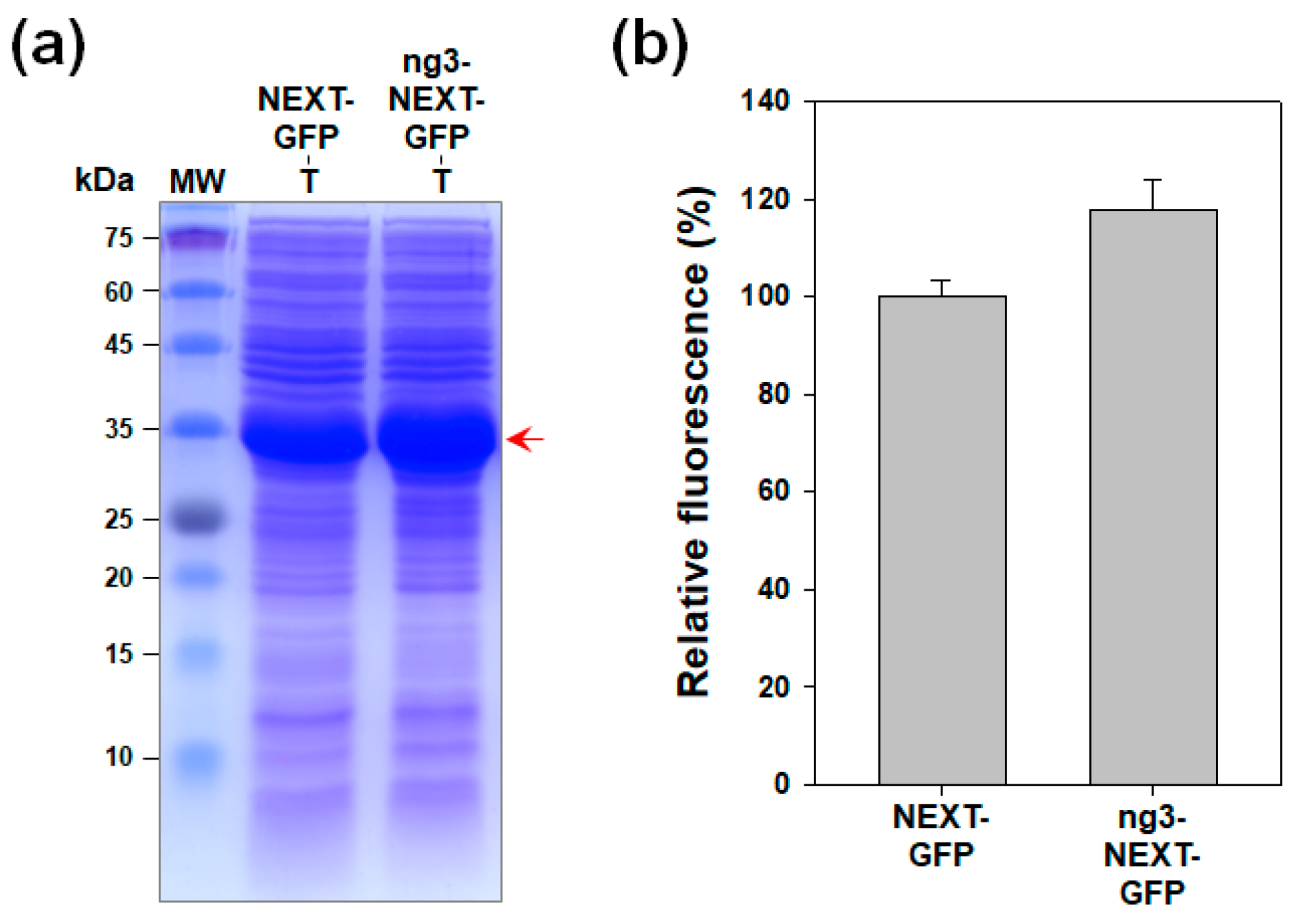 Molecules 26 05830 g004