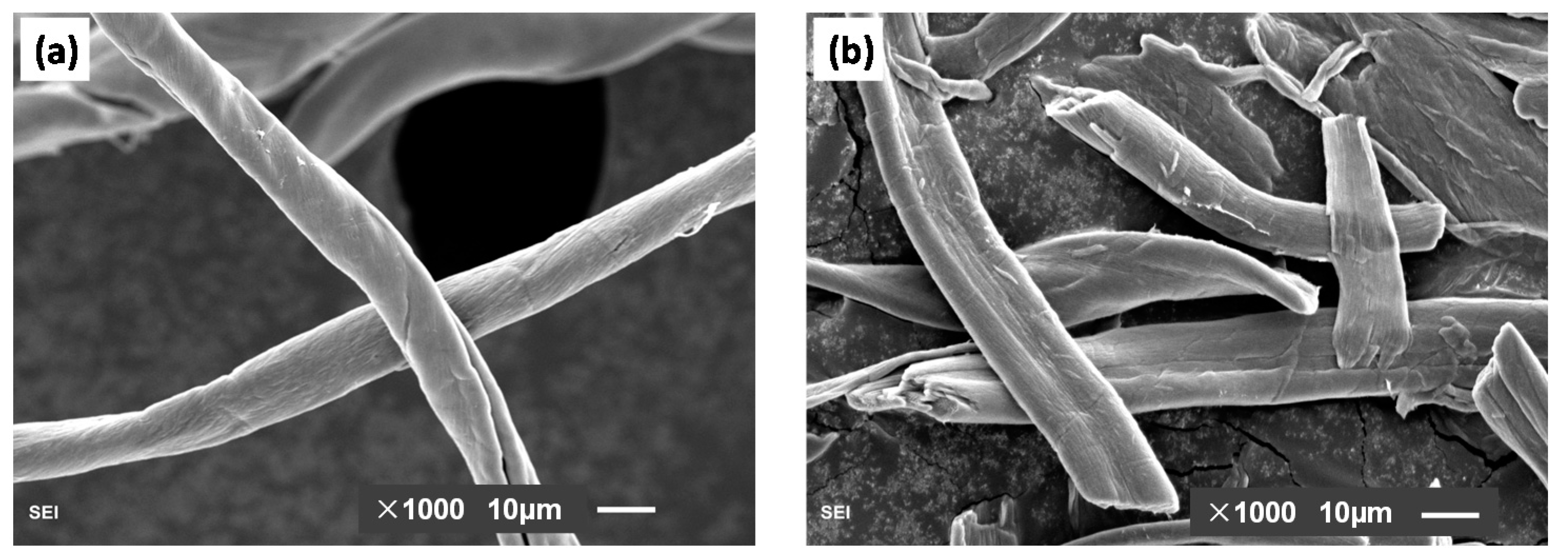 Molecules 26 05831 g001