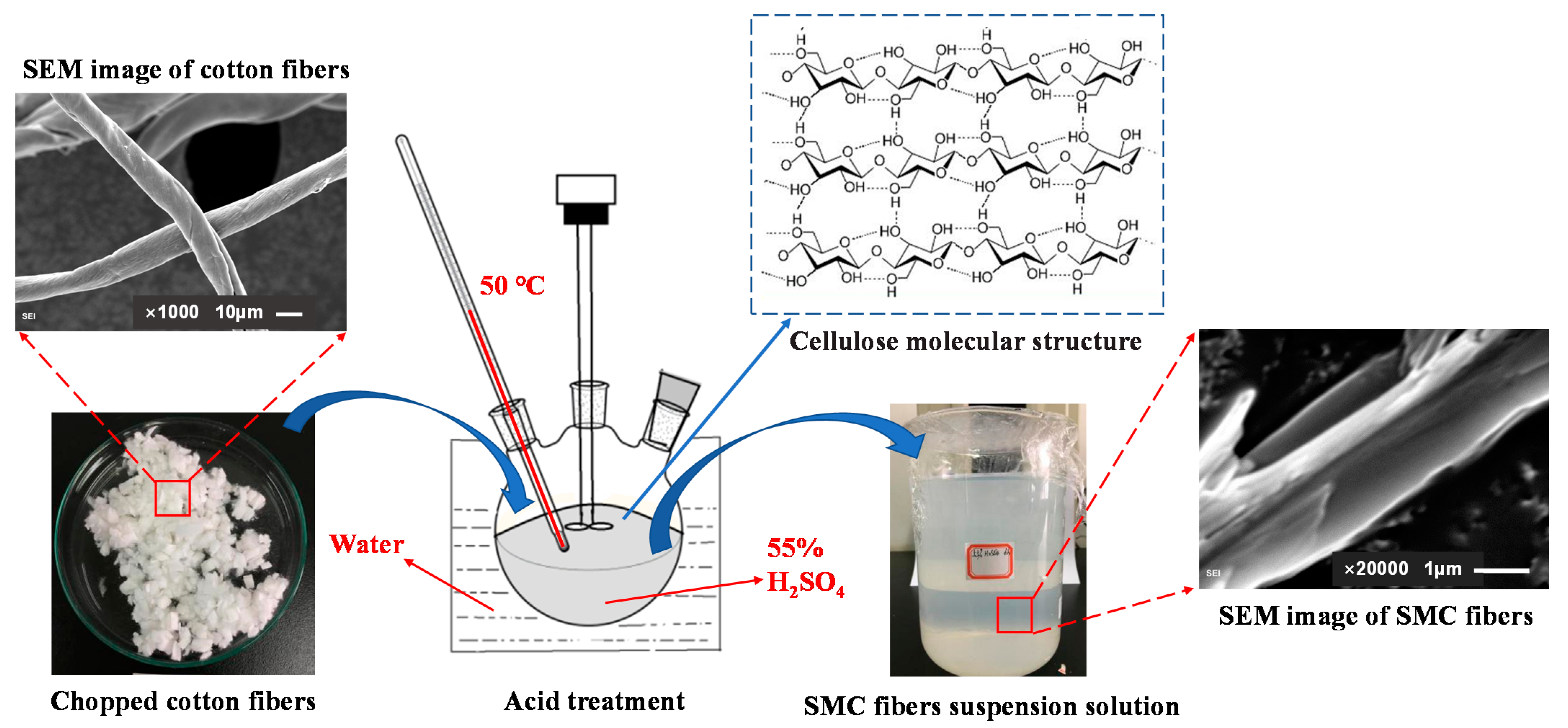 Molecules 26 05831 g002