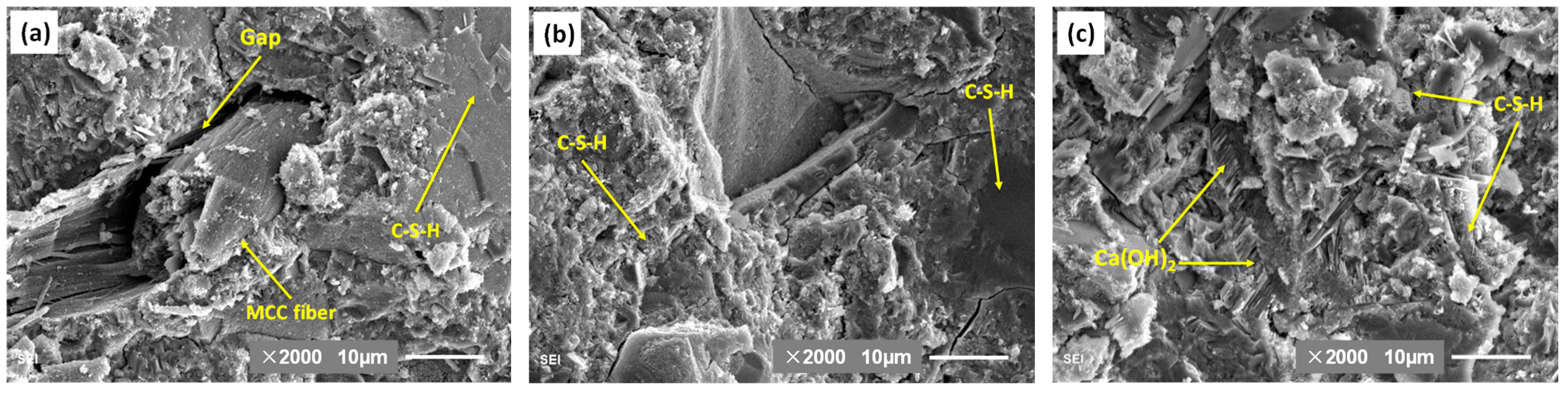 Molecules 26 05831 g009