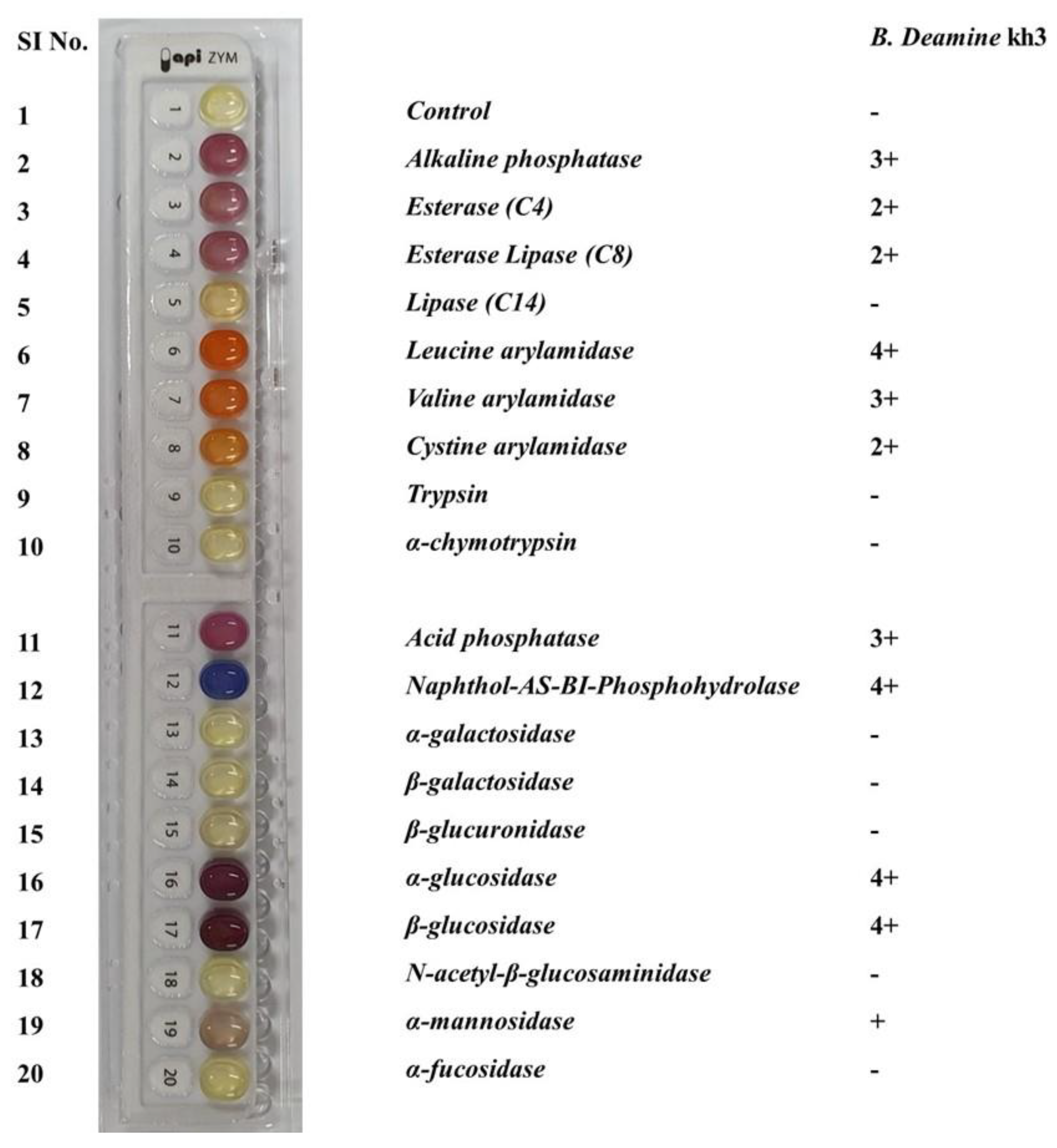 Molecules 26 05835 g002