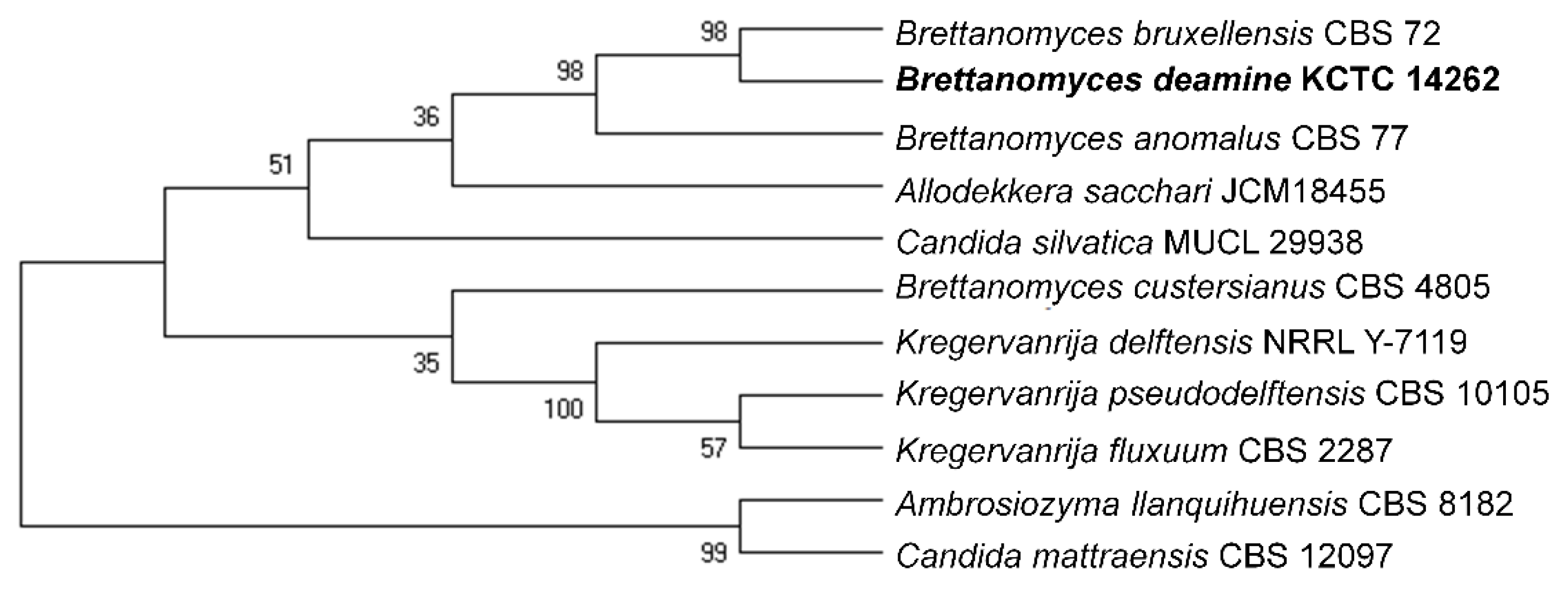 Molecules 26 05835 g003