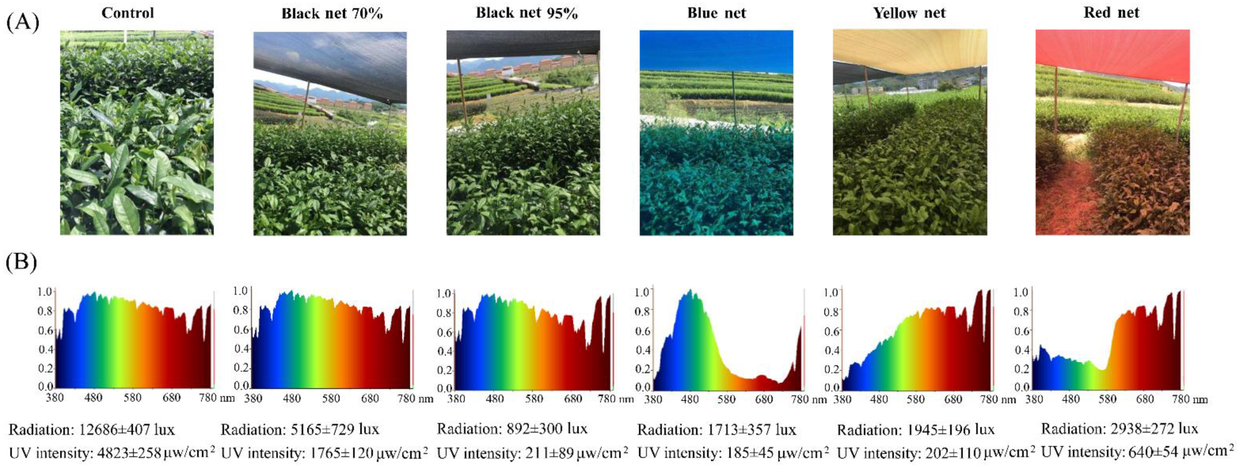 Molecules 26 05836 g001