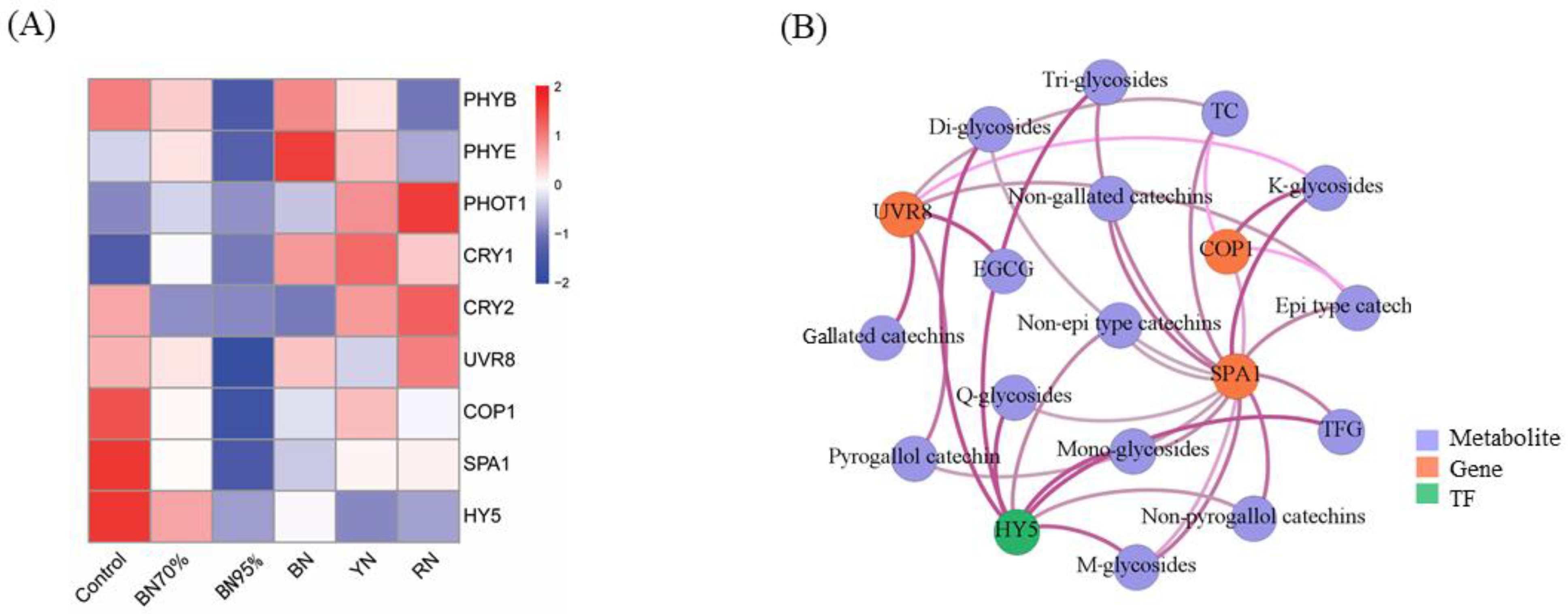 Molecules 26 05836 g005