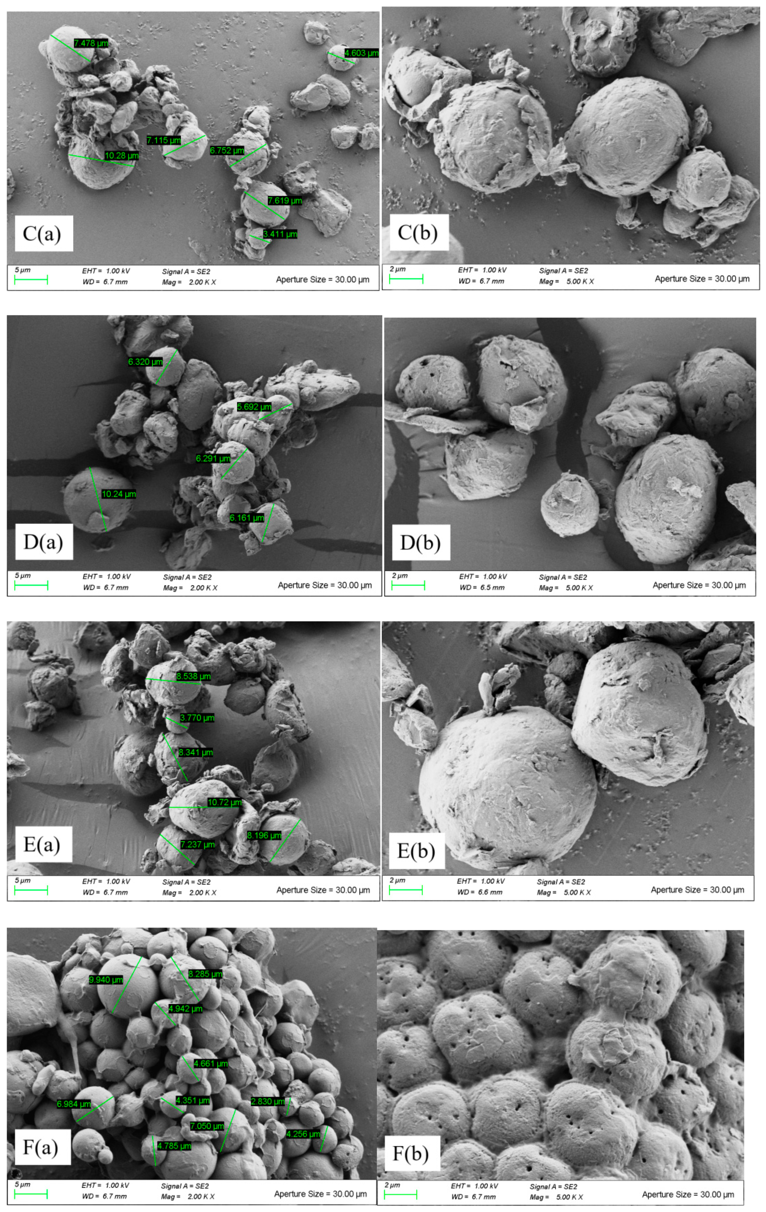 Molecules 26 05841 g002b