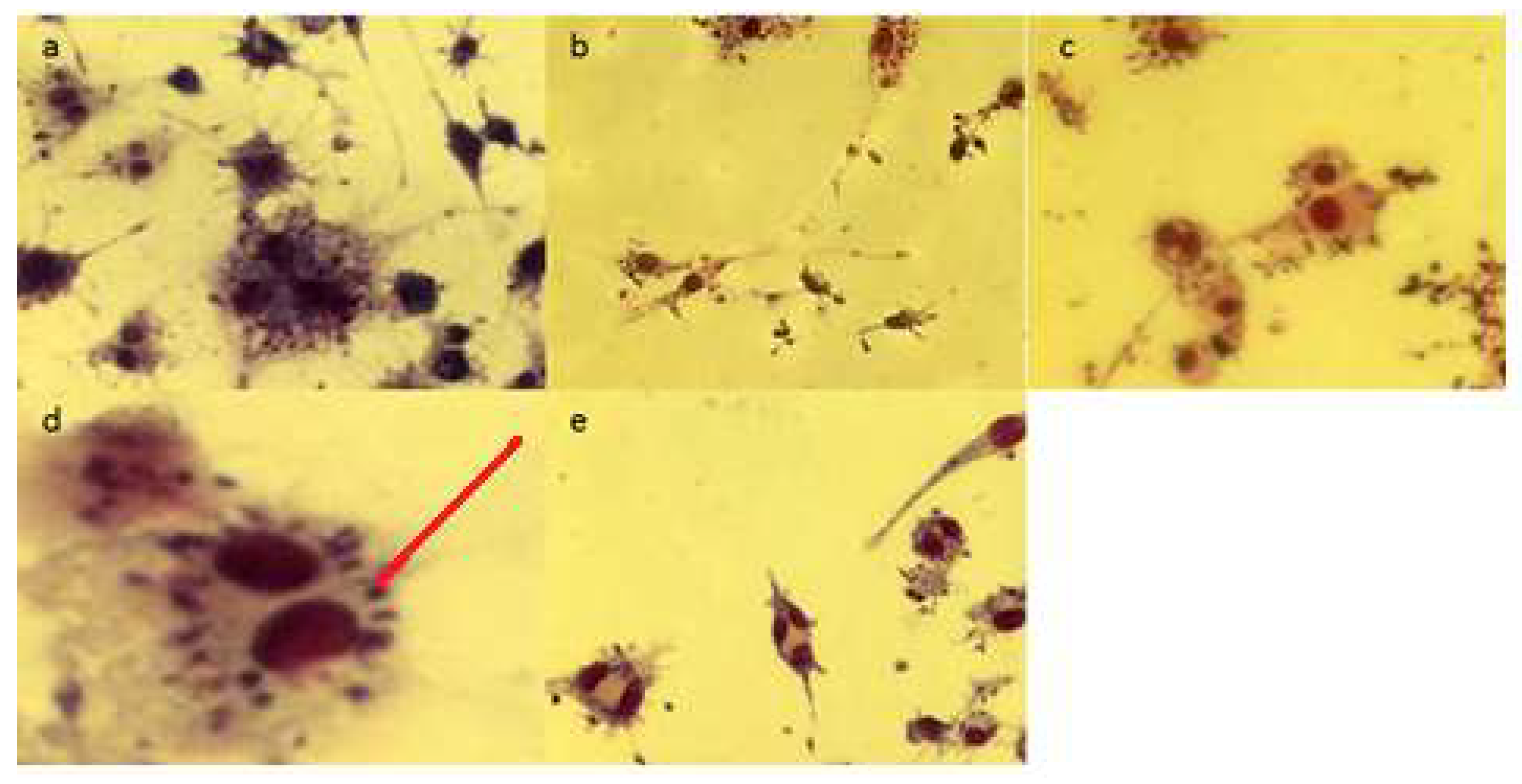 Molecules 26 05843 g003