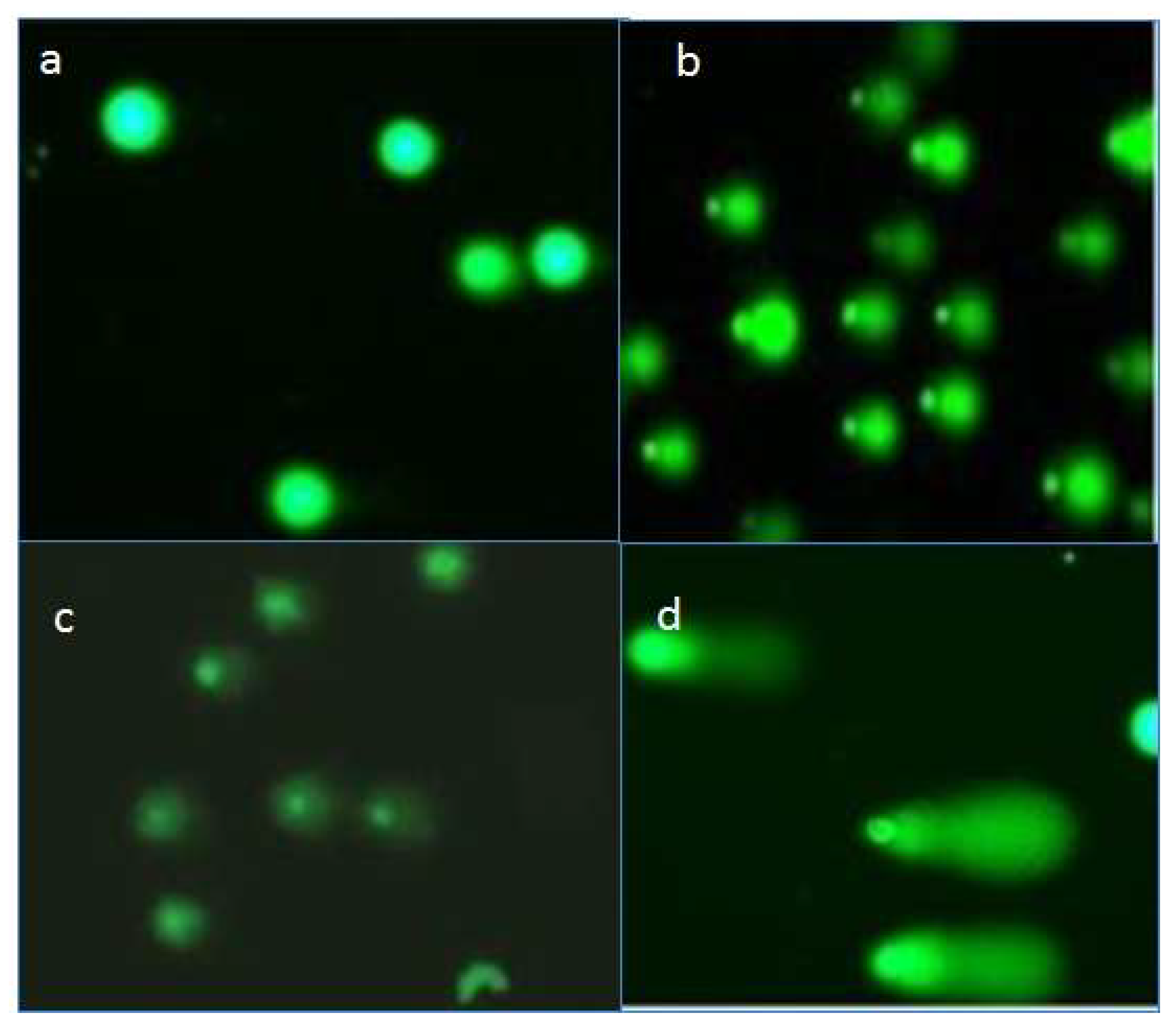 Molecules 26 05843 g007