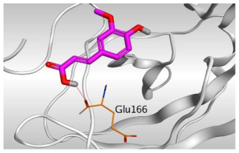 Molecules 26 05844 i001