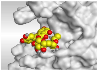 Molecules 26 05844 i004