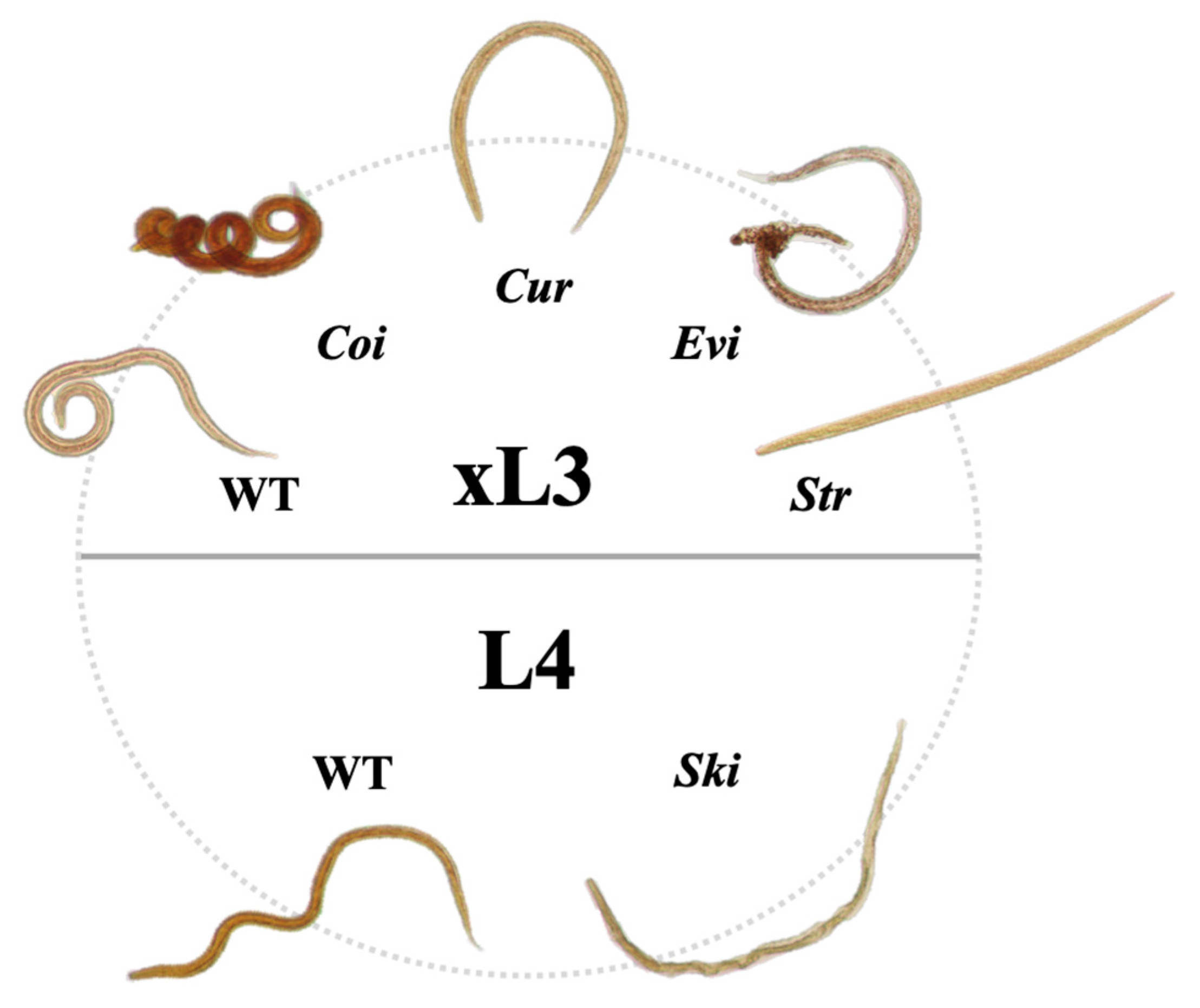 Molecules 26 05846 g002