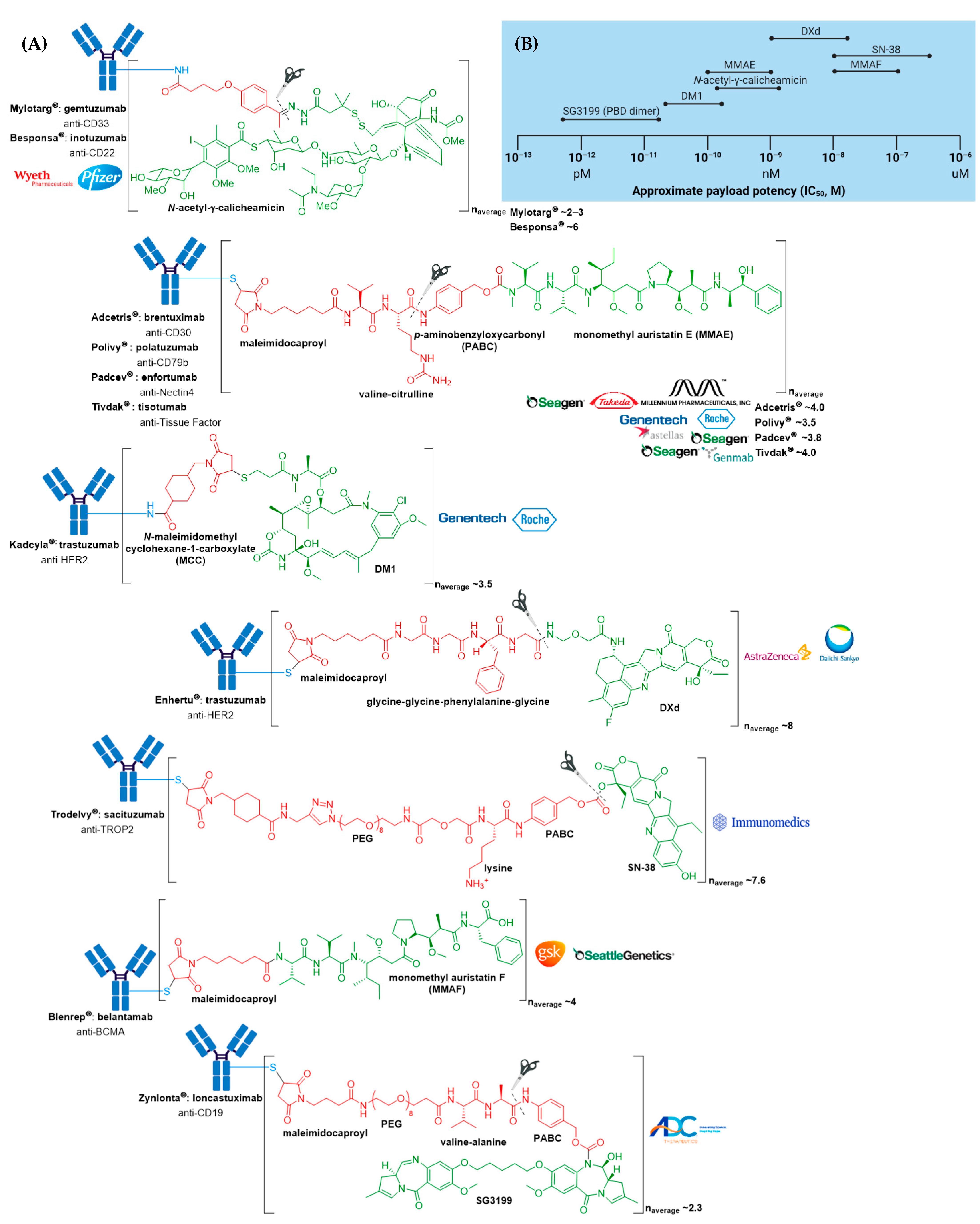 Molecules 26 05847 g002 550