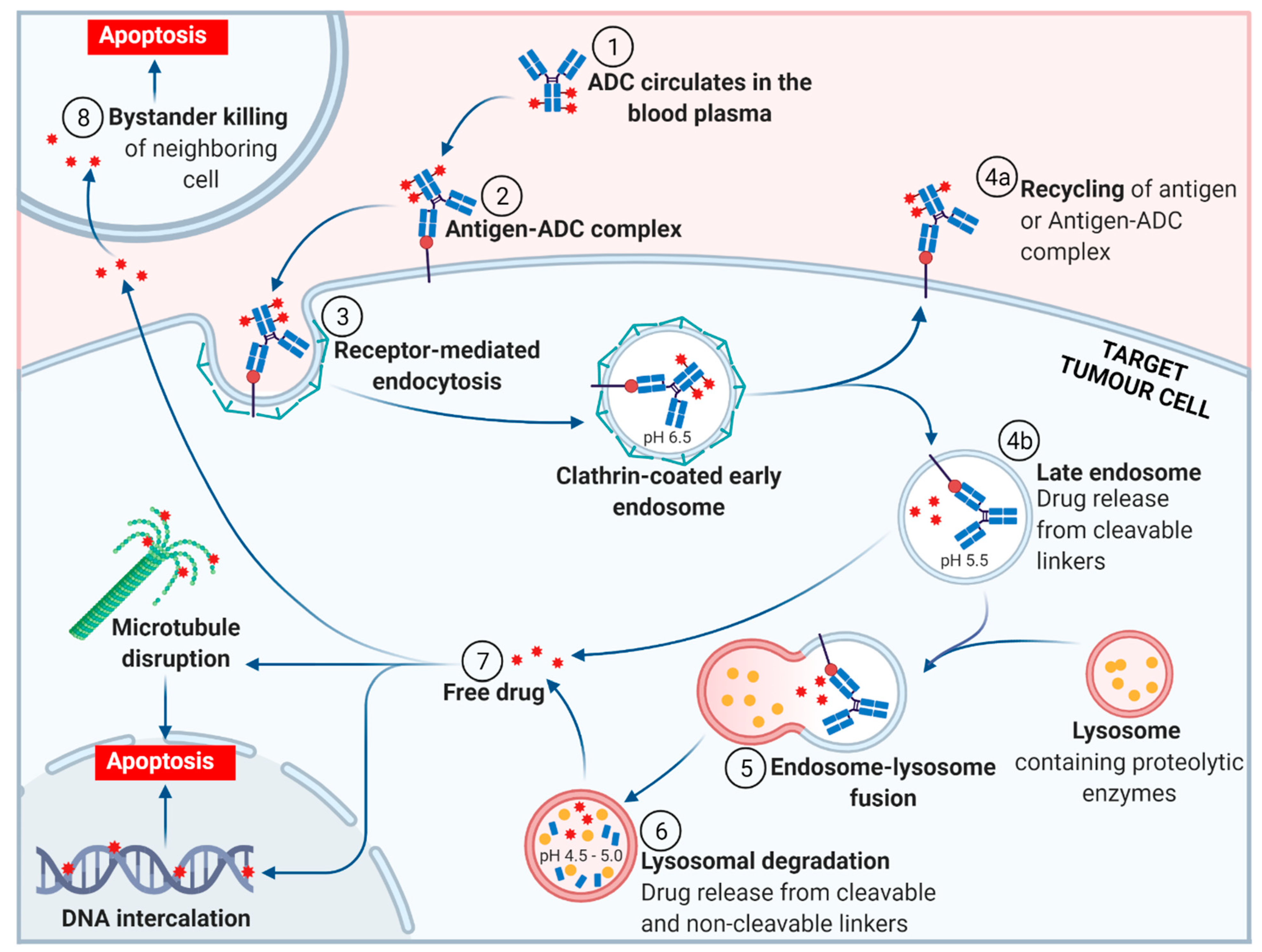 Molecules 26 05847 g003 550