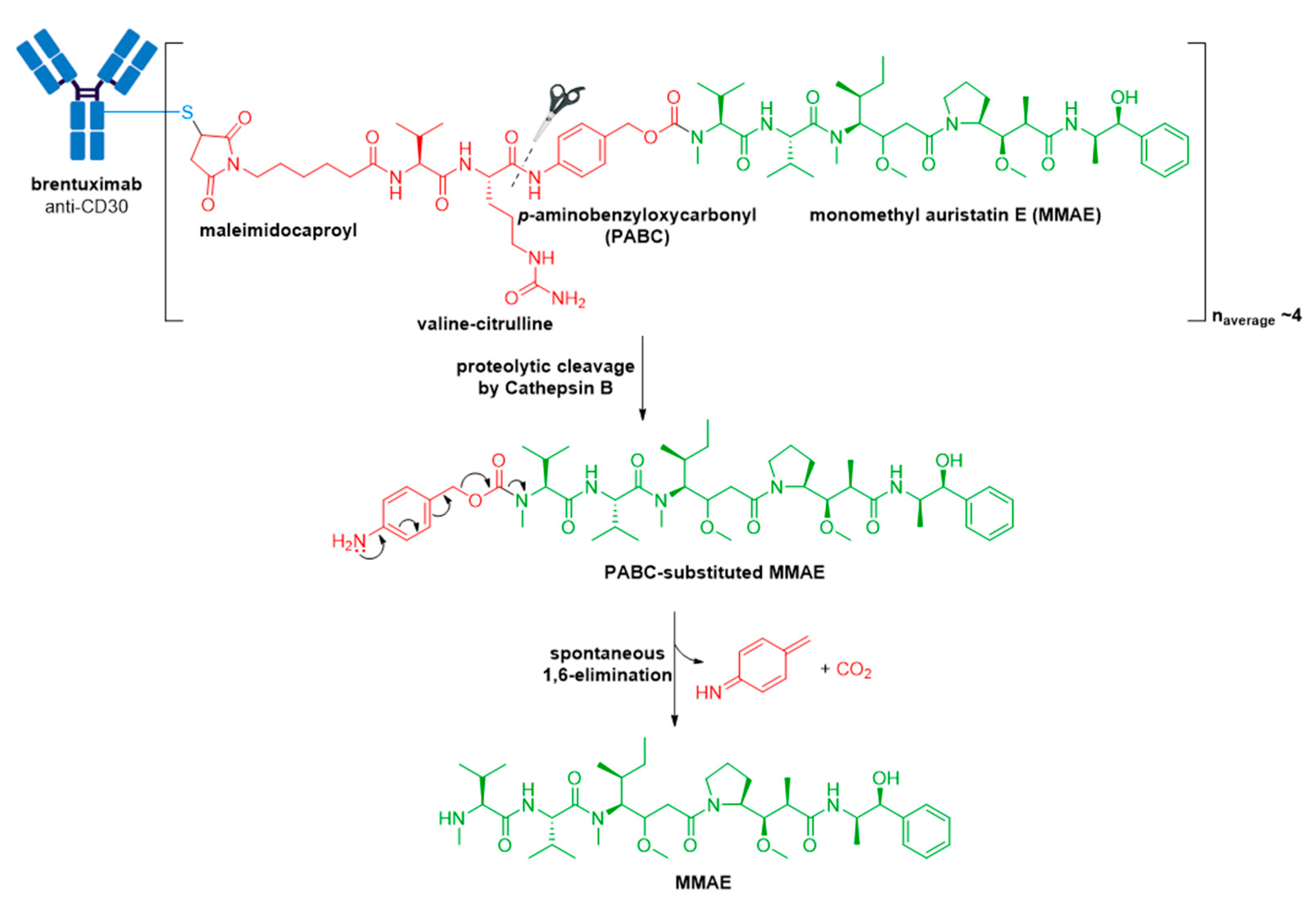Molecules 26 05847 g006 550