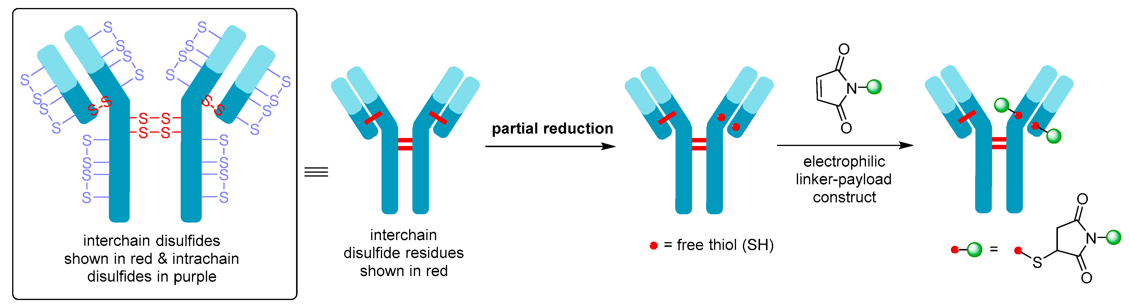 Molecules 26 05847 g007 550