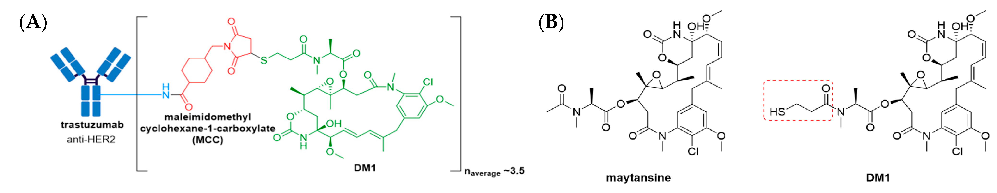 Molecules 26 05847 g008 550
