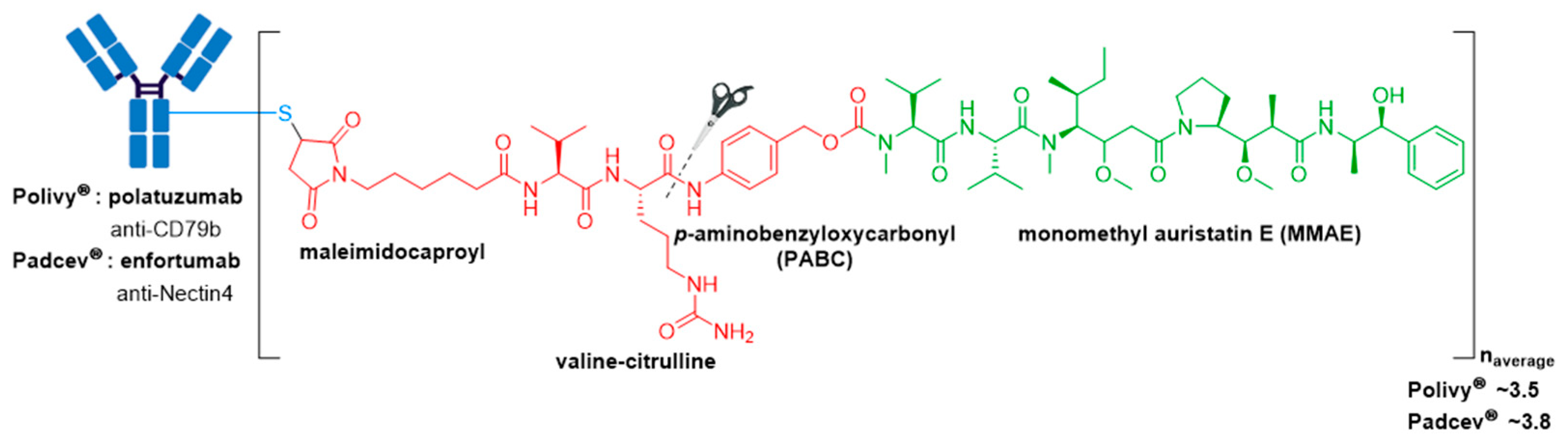 Molecules 26 05847 g010 550