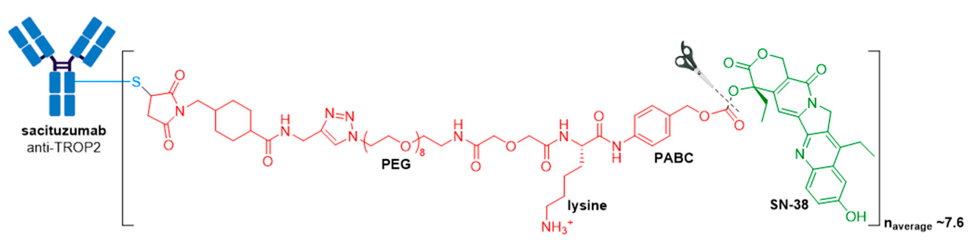 Molecules 26 05847 g012 550