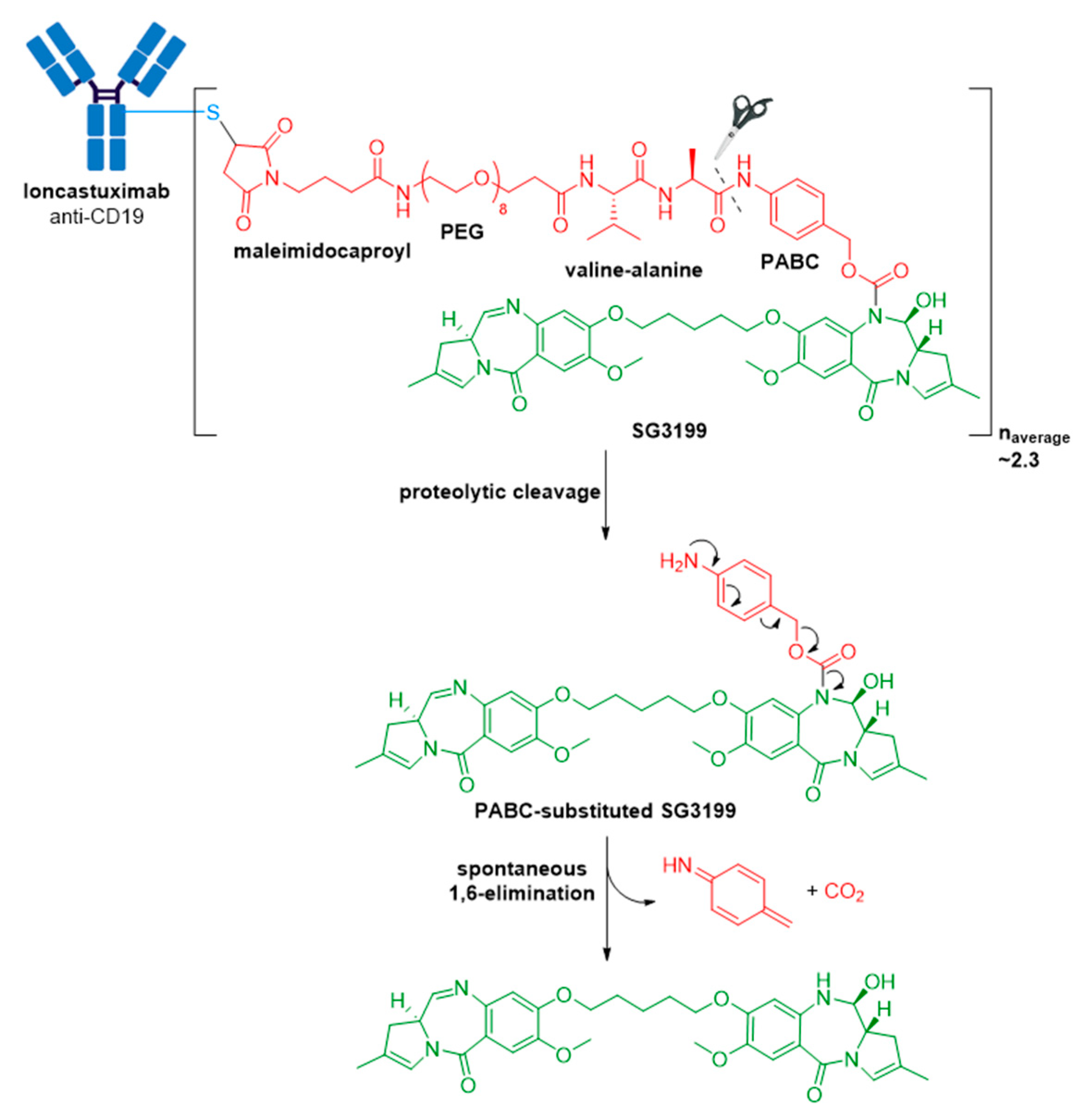 Molecules 26 05847 g014 550