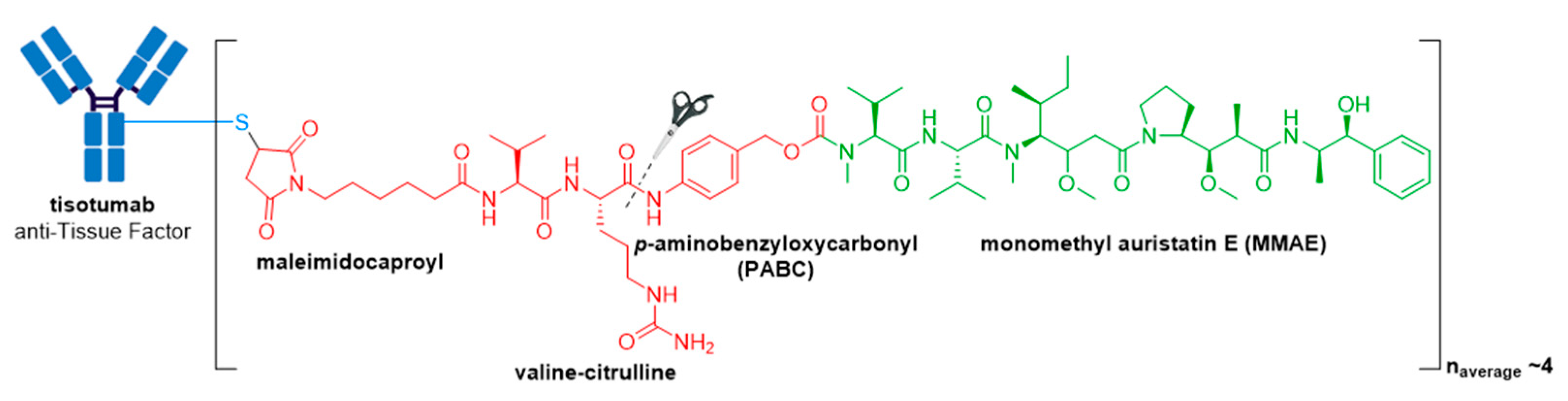 Molecules 26 05847 g016 550