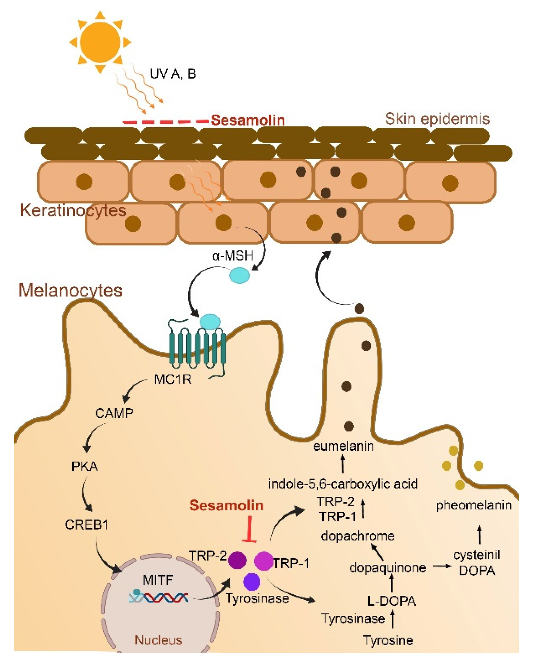 Molecules 26 05849 g003 Molecules 26 05849 g003