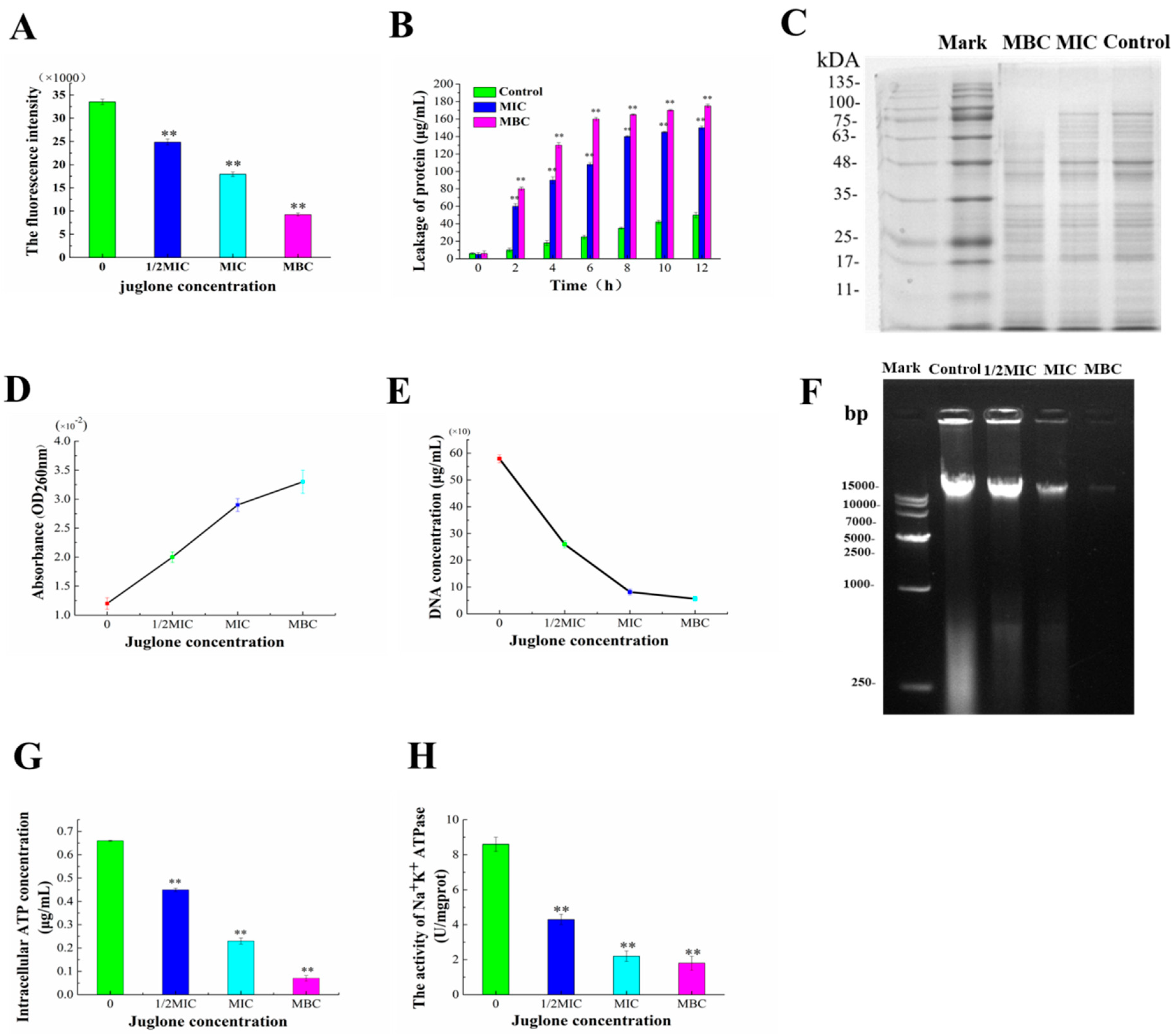 Molecules 26 05854 g005