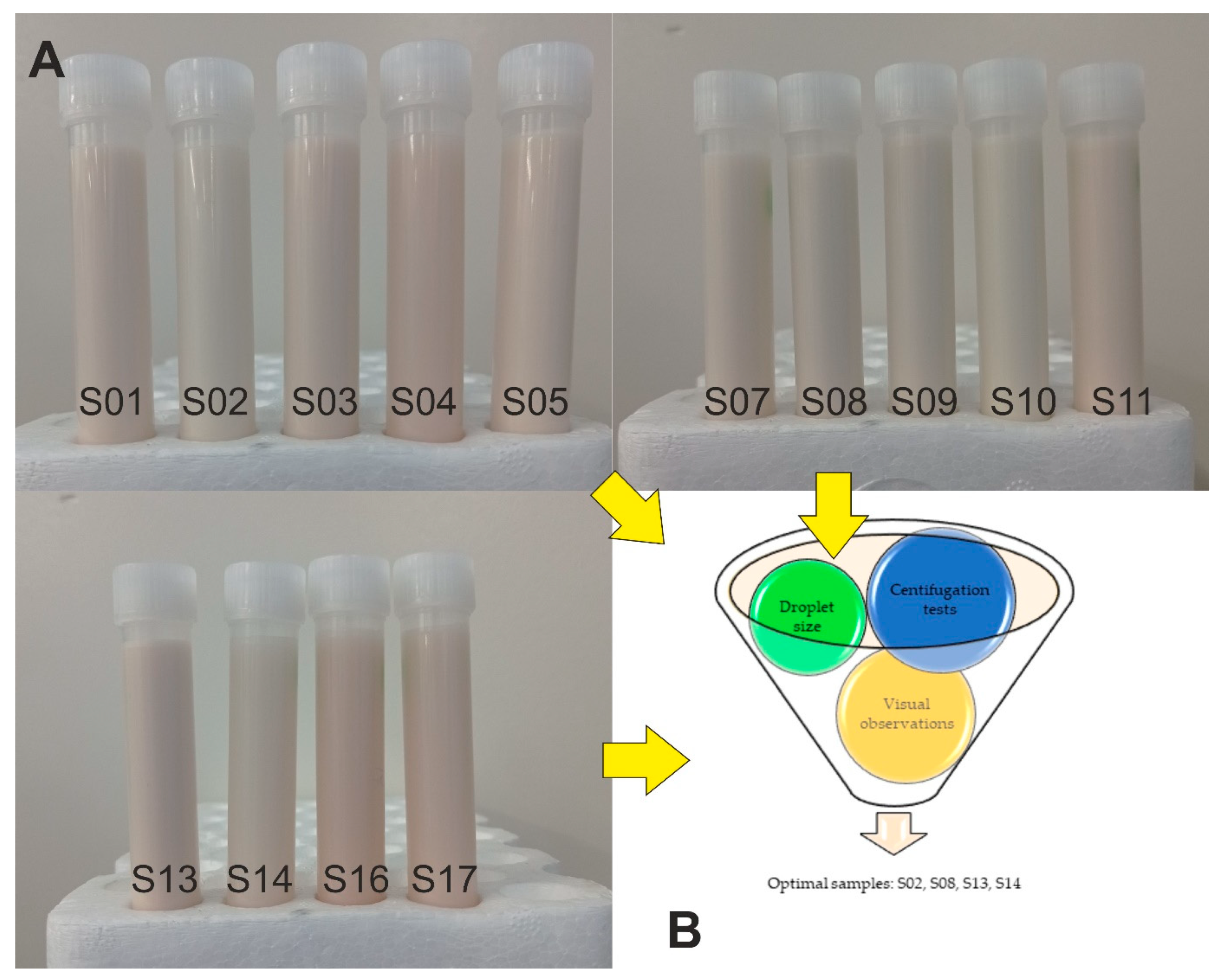 Molecules 26 05856 g001