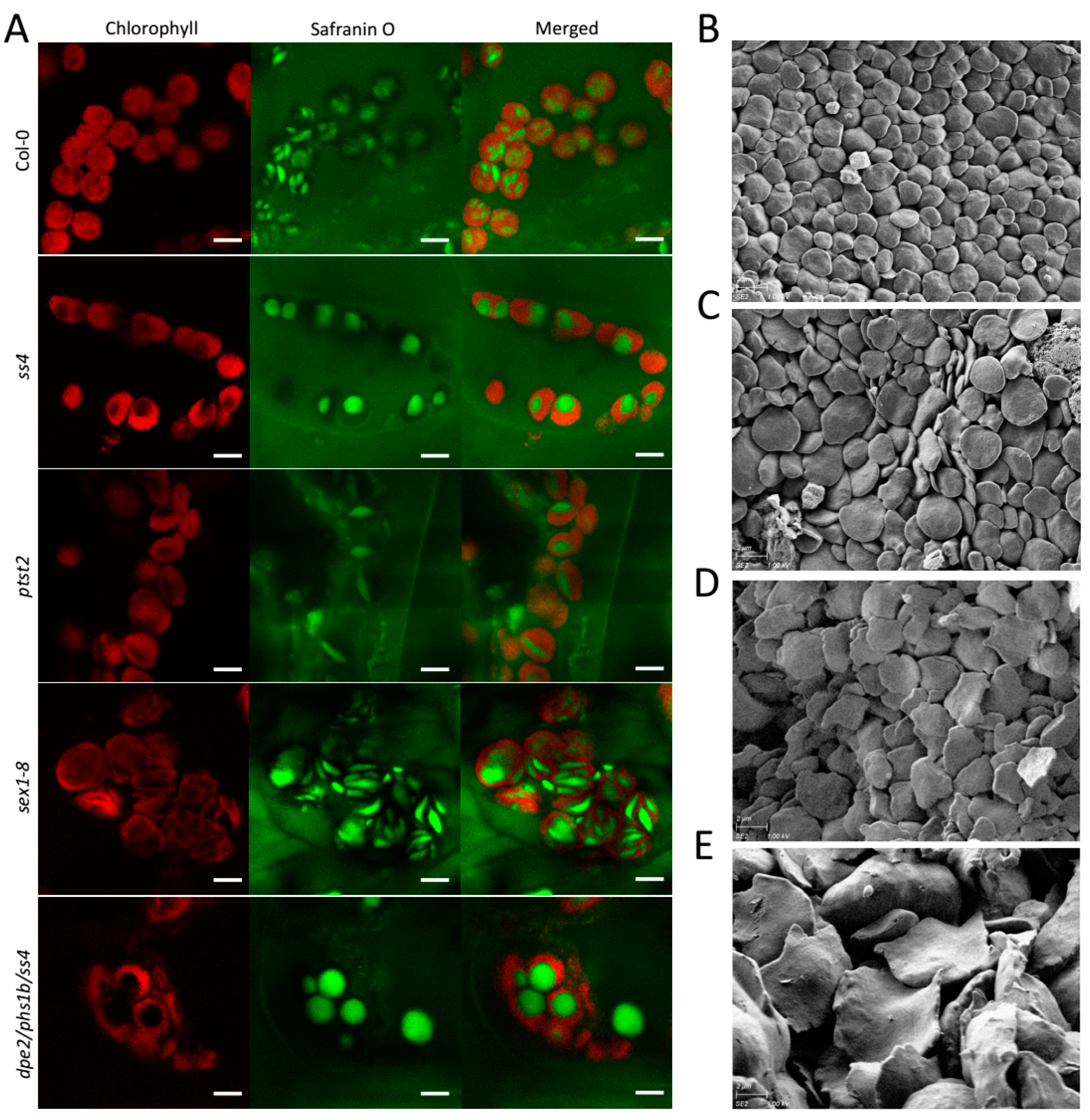Molecules 26 05859 g002